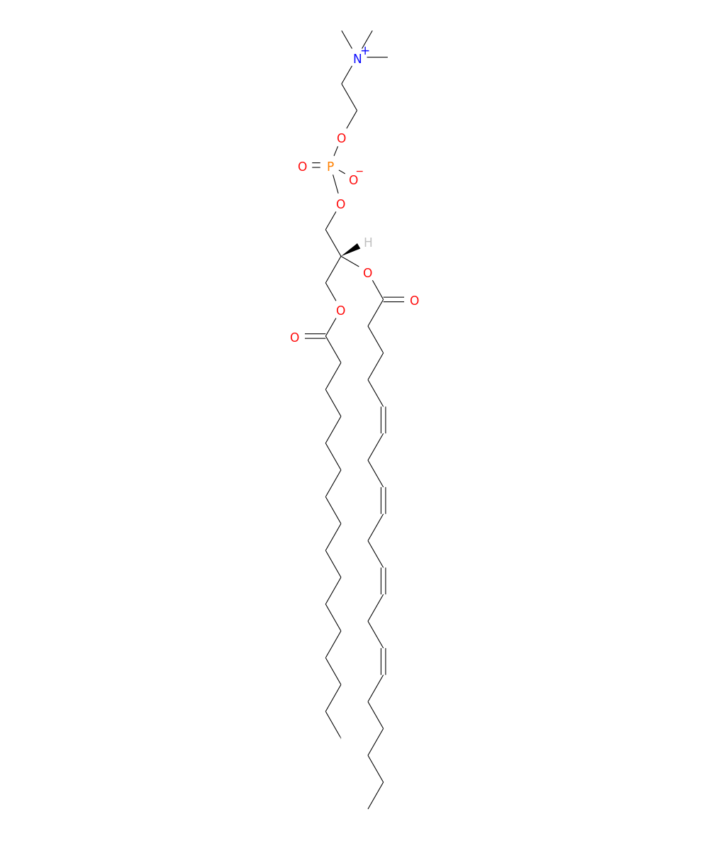 /media/lipids/LIGP01010001.png