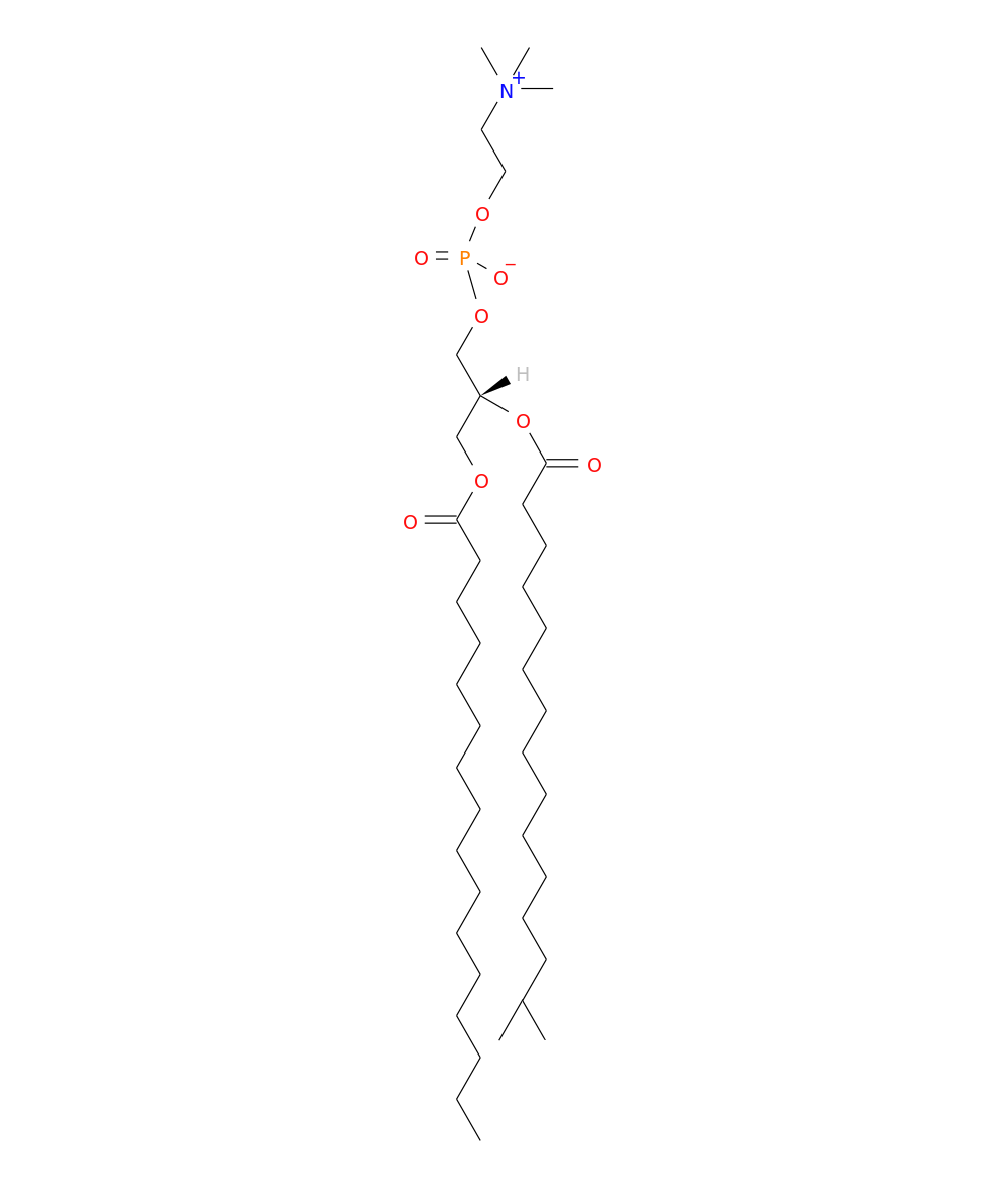 /media/lipids/LIGP01010002.png