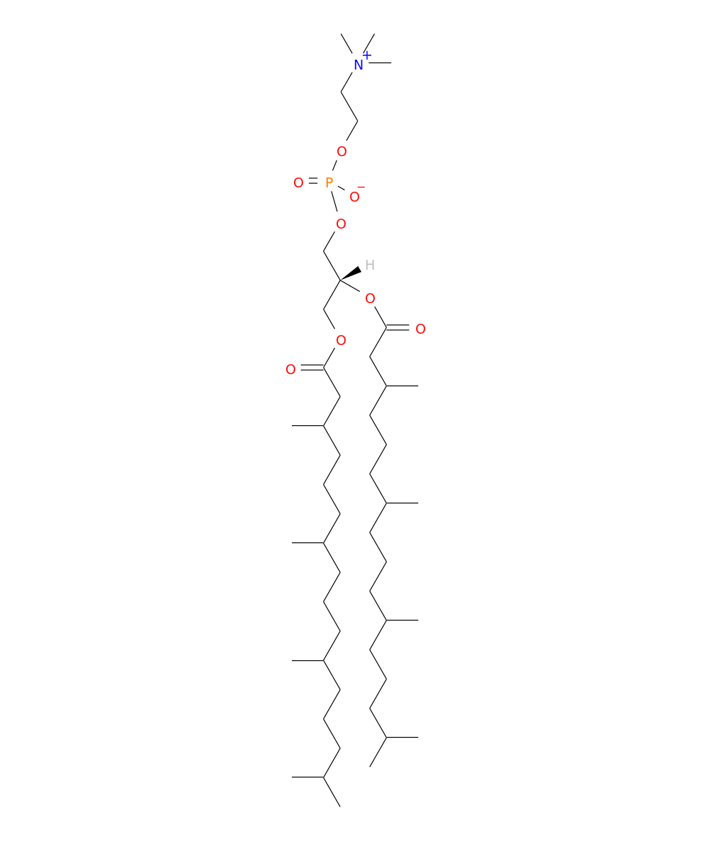 /media/lipids/LIGP01010004.png