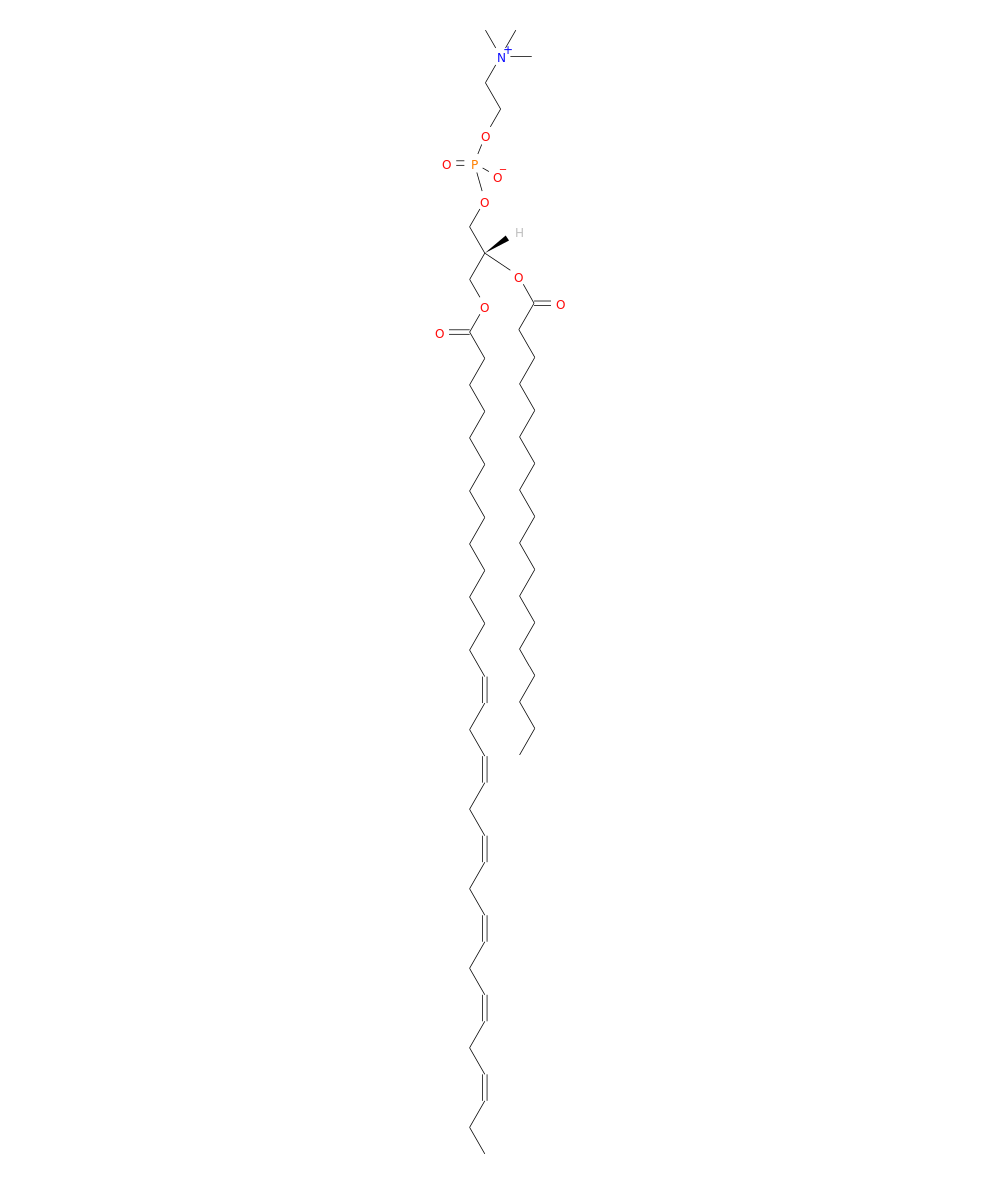 /media/lipids/LIGP01010005.png