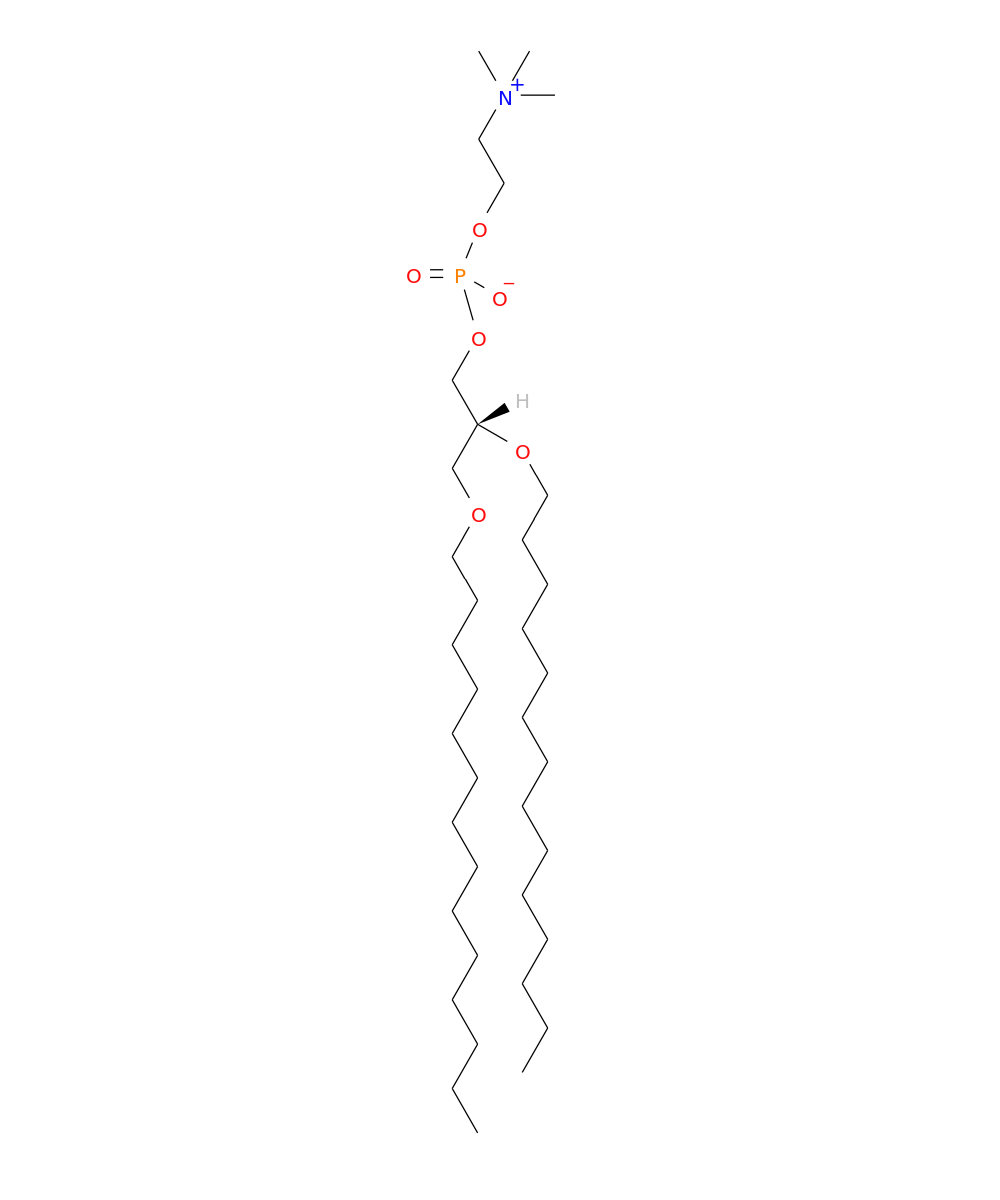 /media/lipids/LIGP01040004.png