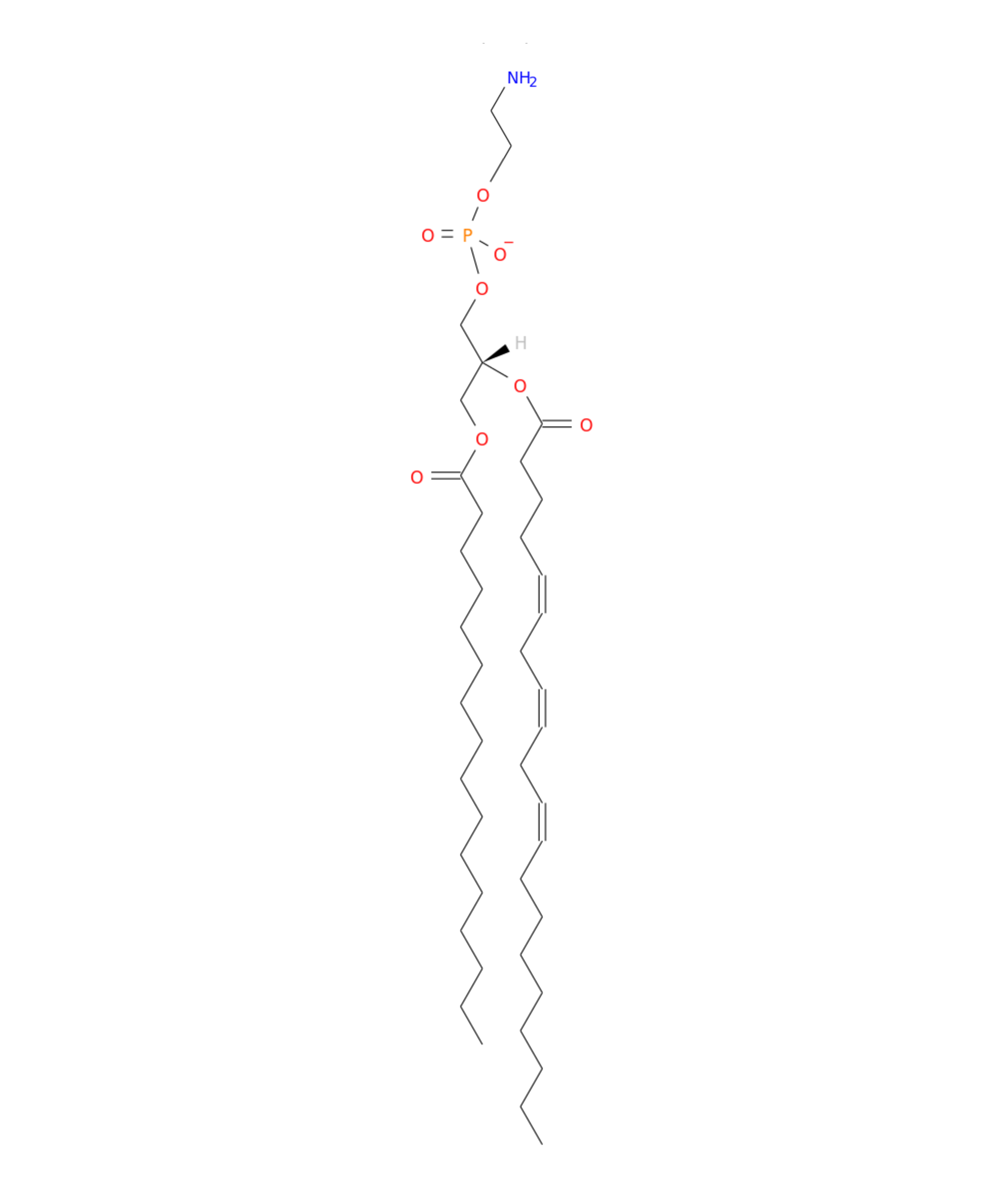 /media/lipids/LIGP02010001.png