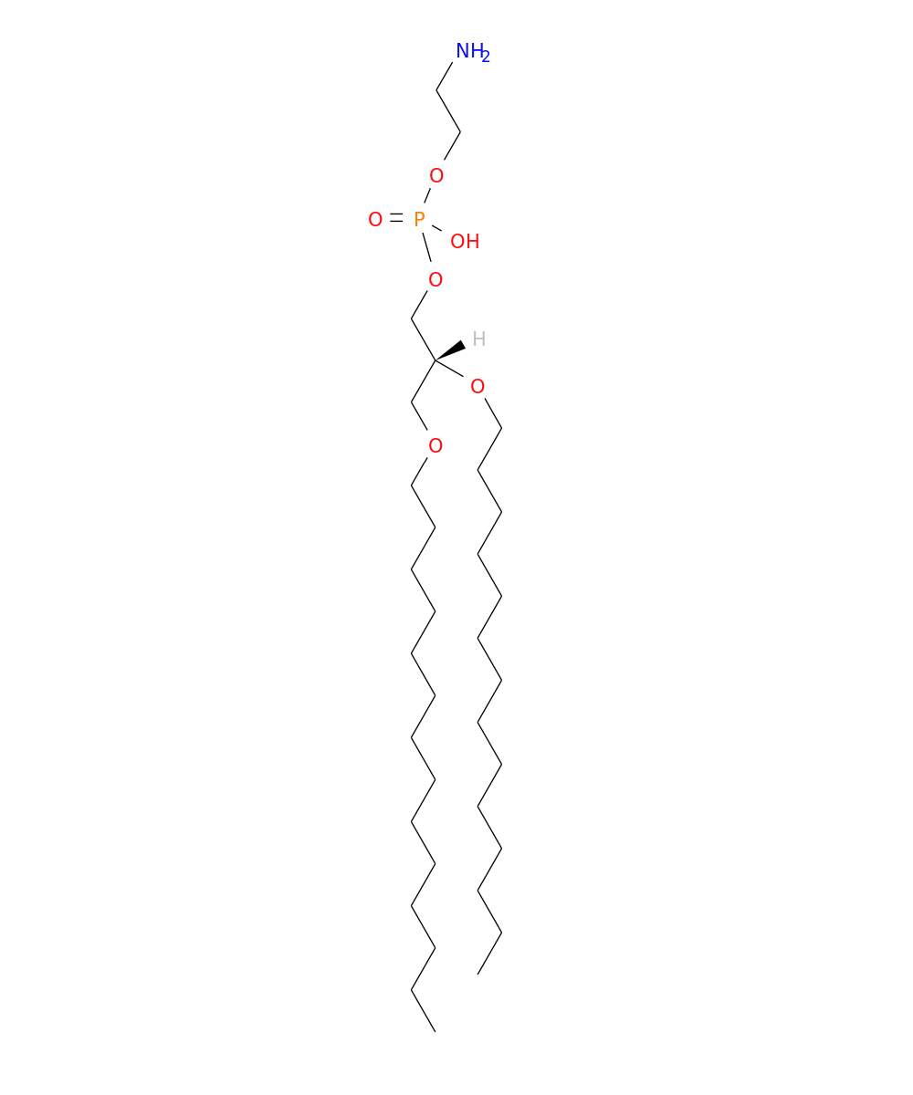/media/lipids/LIGP02040004.png