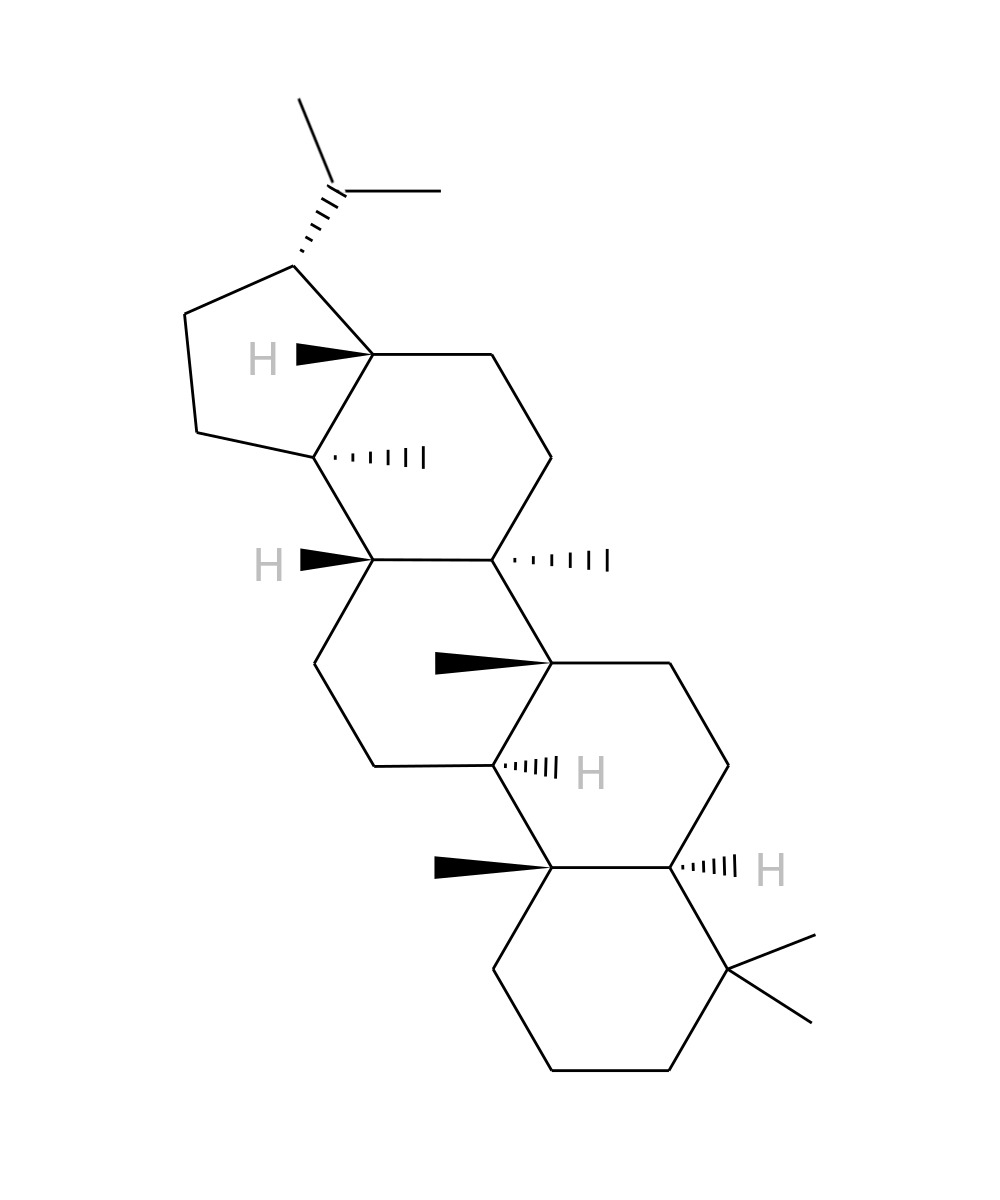 /media/lipids/LIPR04000001.jpg