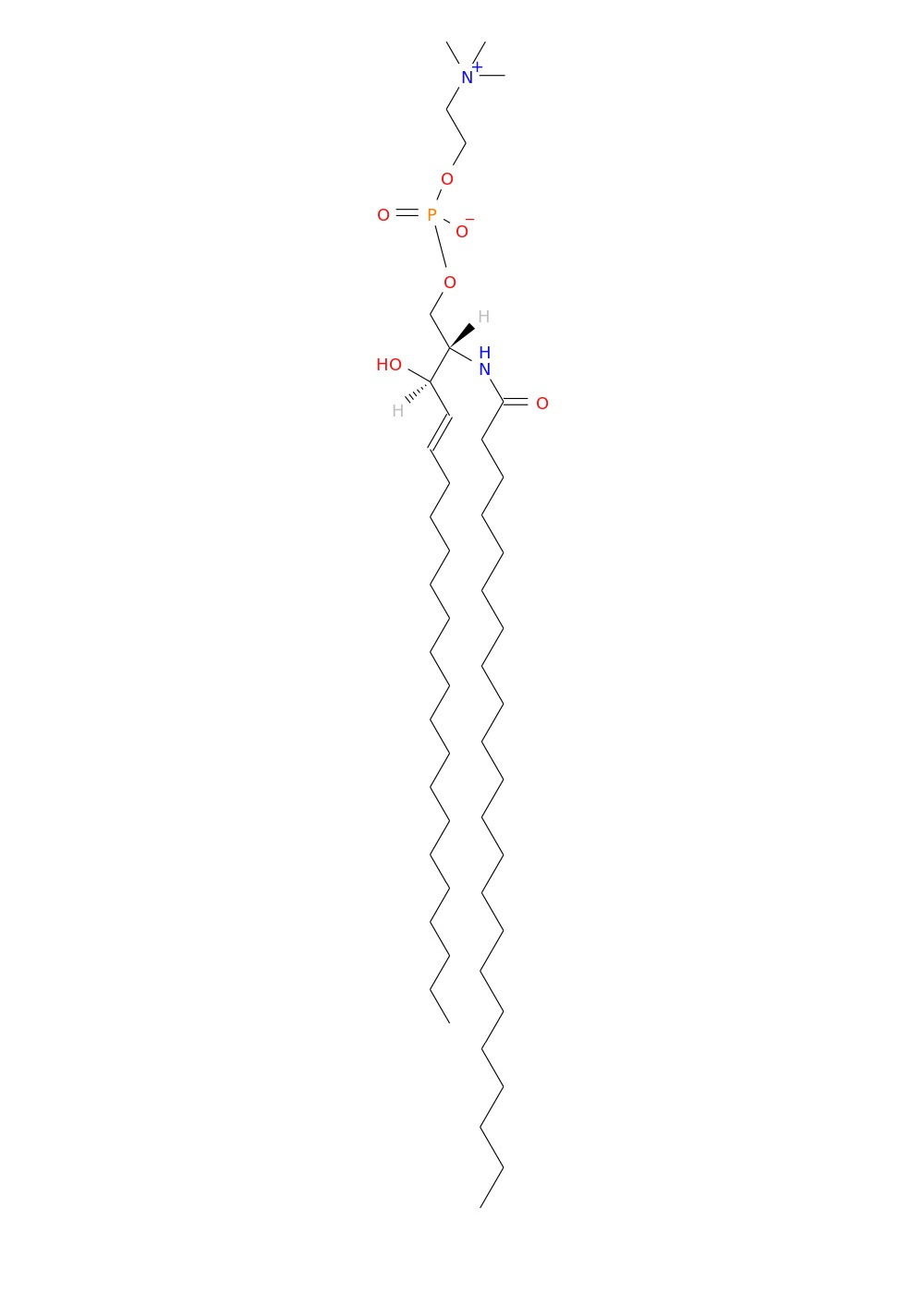 /media/lipids/LISP03010001.jpg