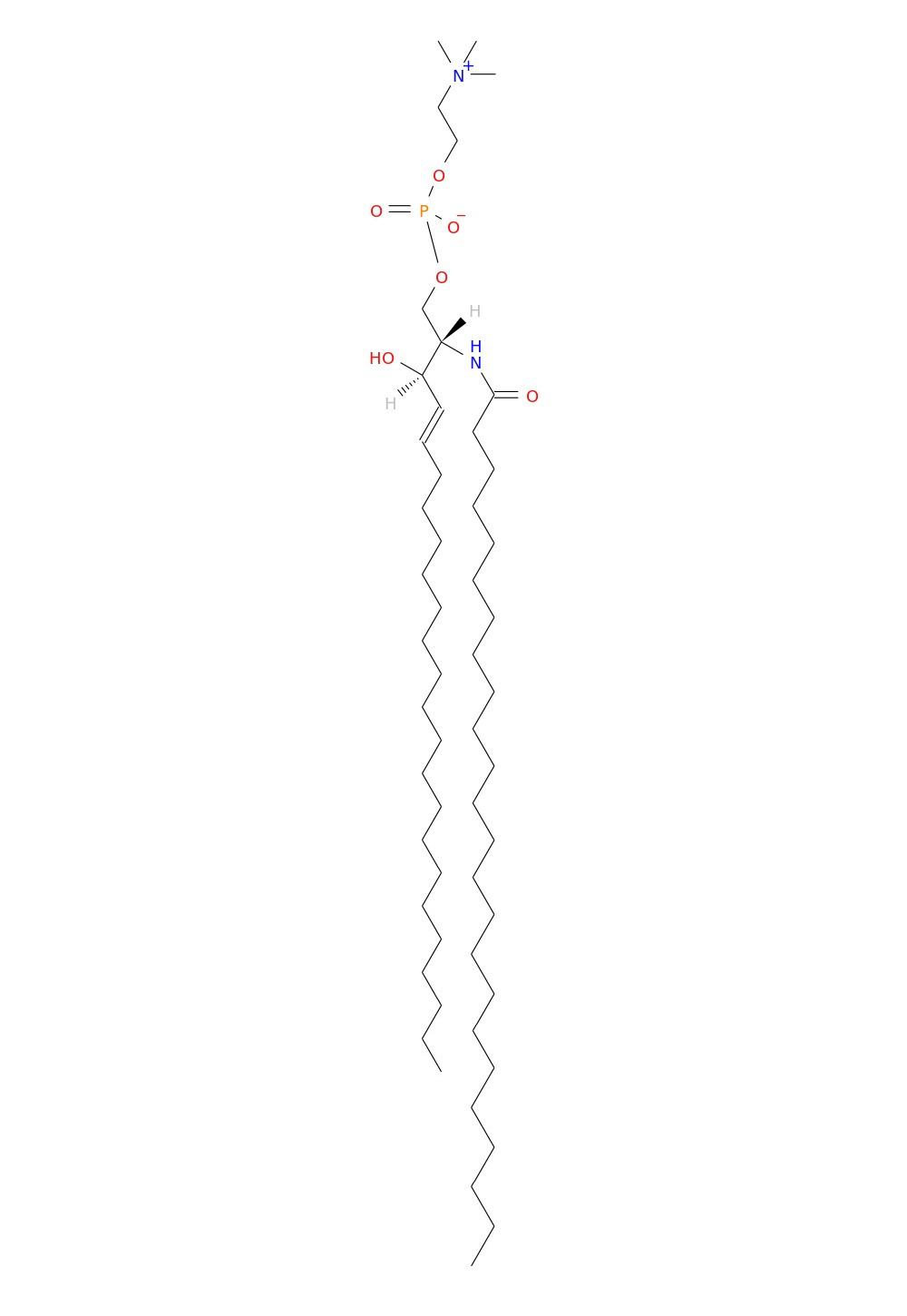 /media/lipids/LISP03010002.jpg