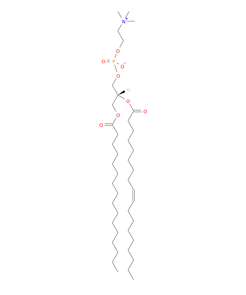 /media/lipids/LMGP01010005.png