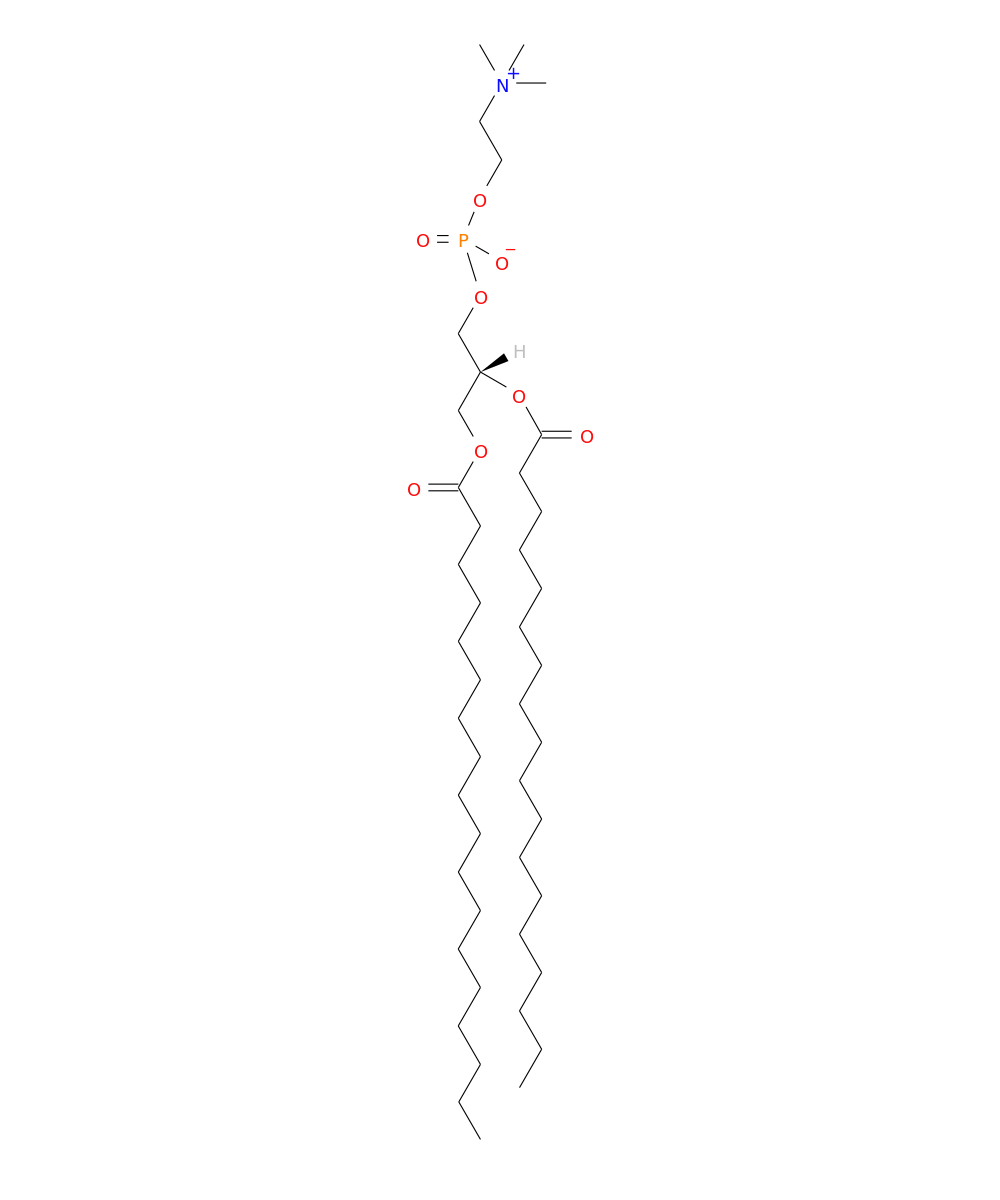 /media/lipids/LMGP01010006.png