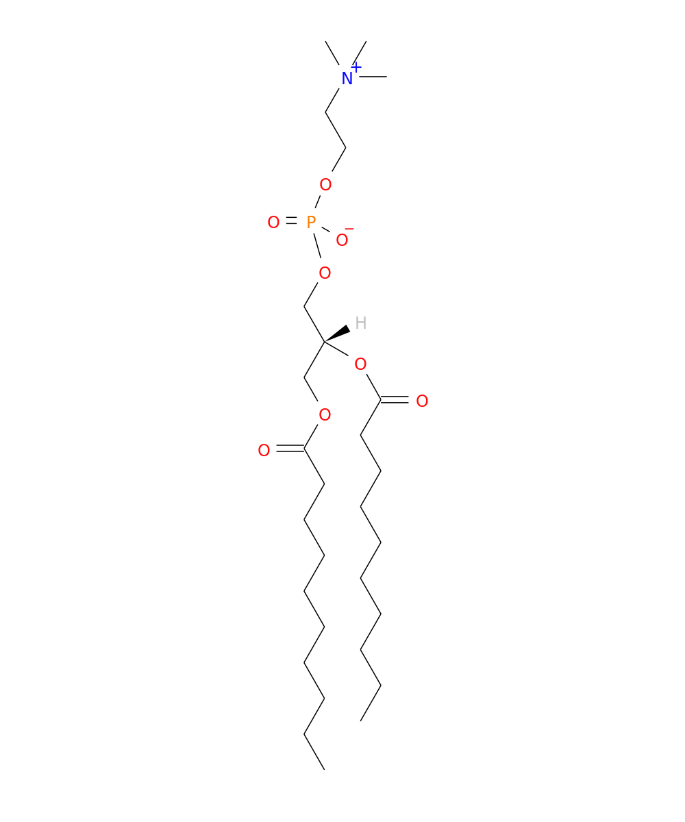 /media/lipids/LMGP01010380.png