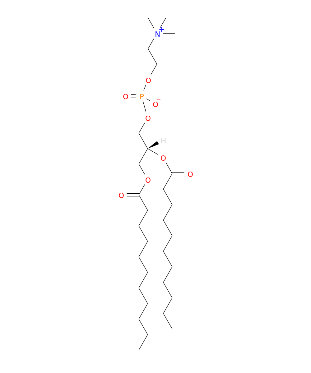 /media/lipids/LMGP01010407.png