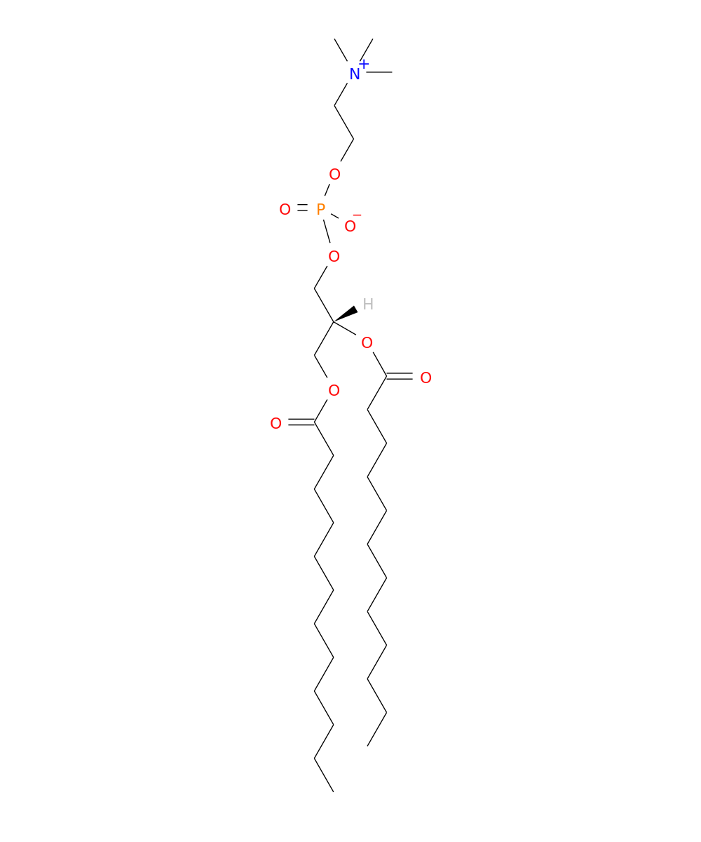 /media/lipids/LMGP01010429.png