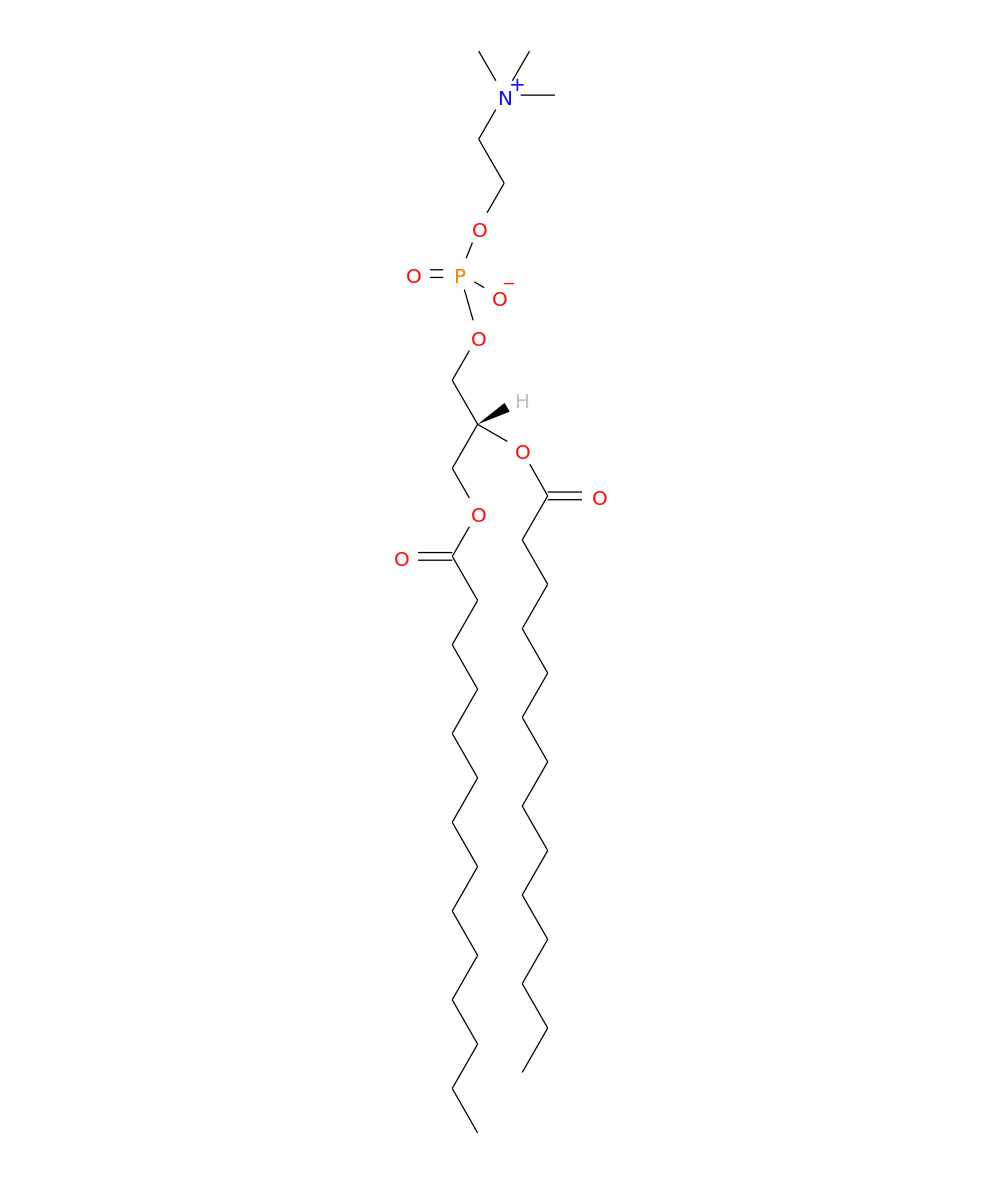 /media/lipids/LMGP01010477.png