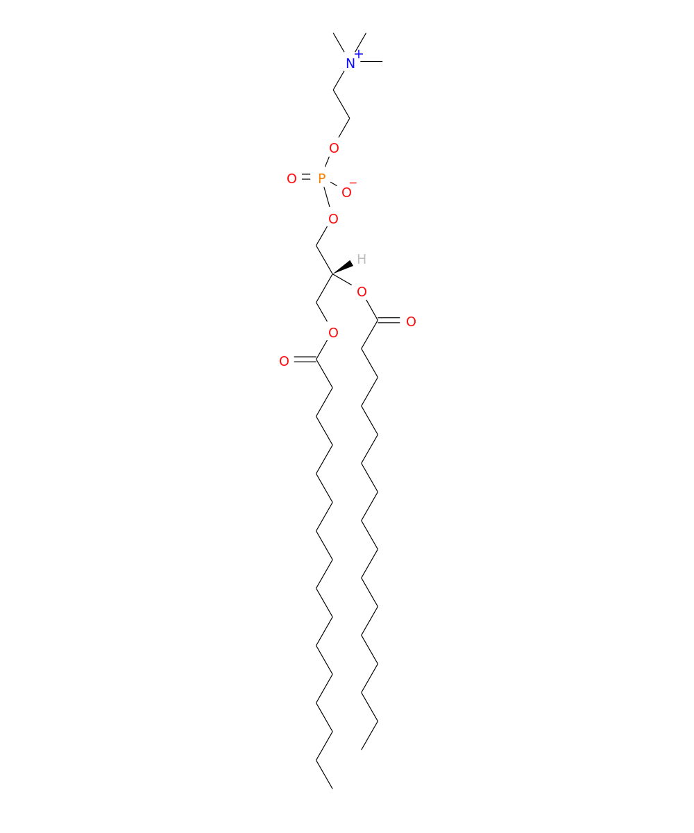 /media/lipids/LMGP01010564.png
