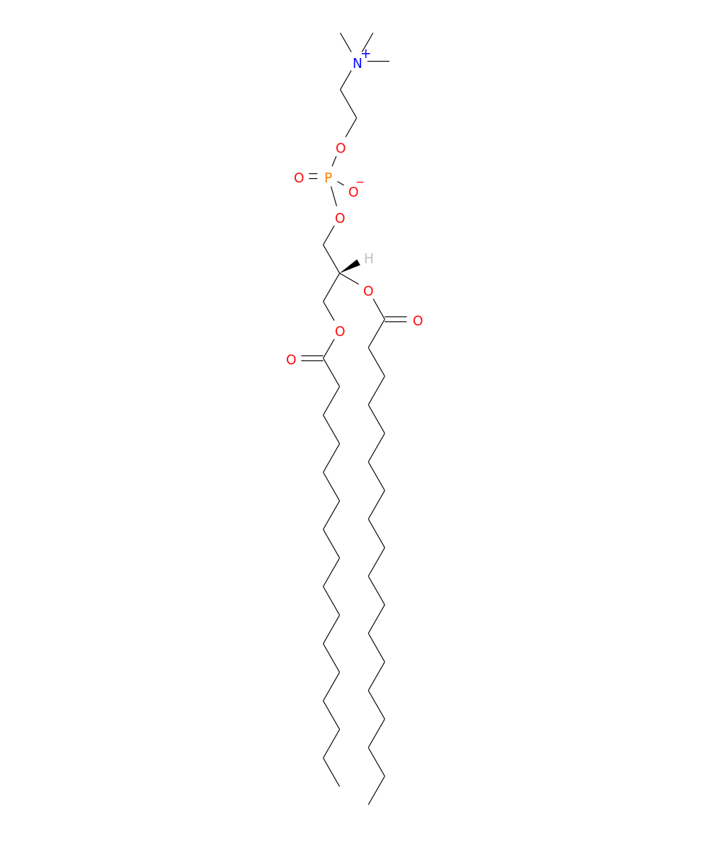 /media/lipids/LMGP01010573.png