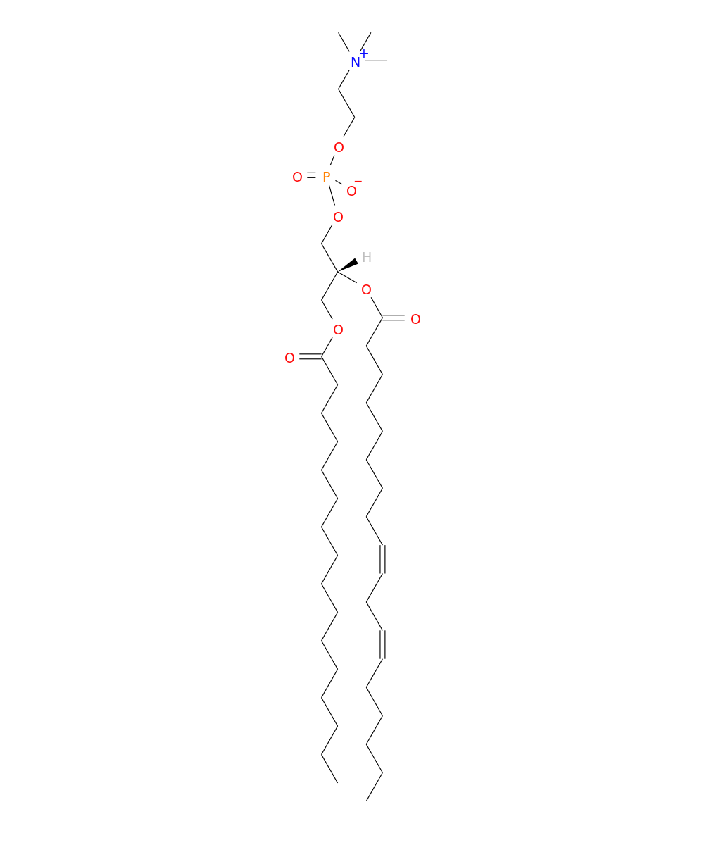/media/lipids/LMGP01010594.png