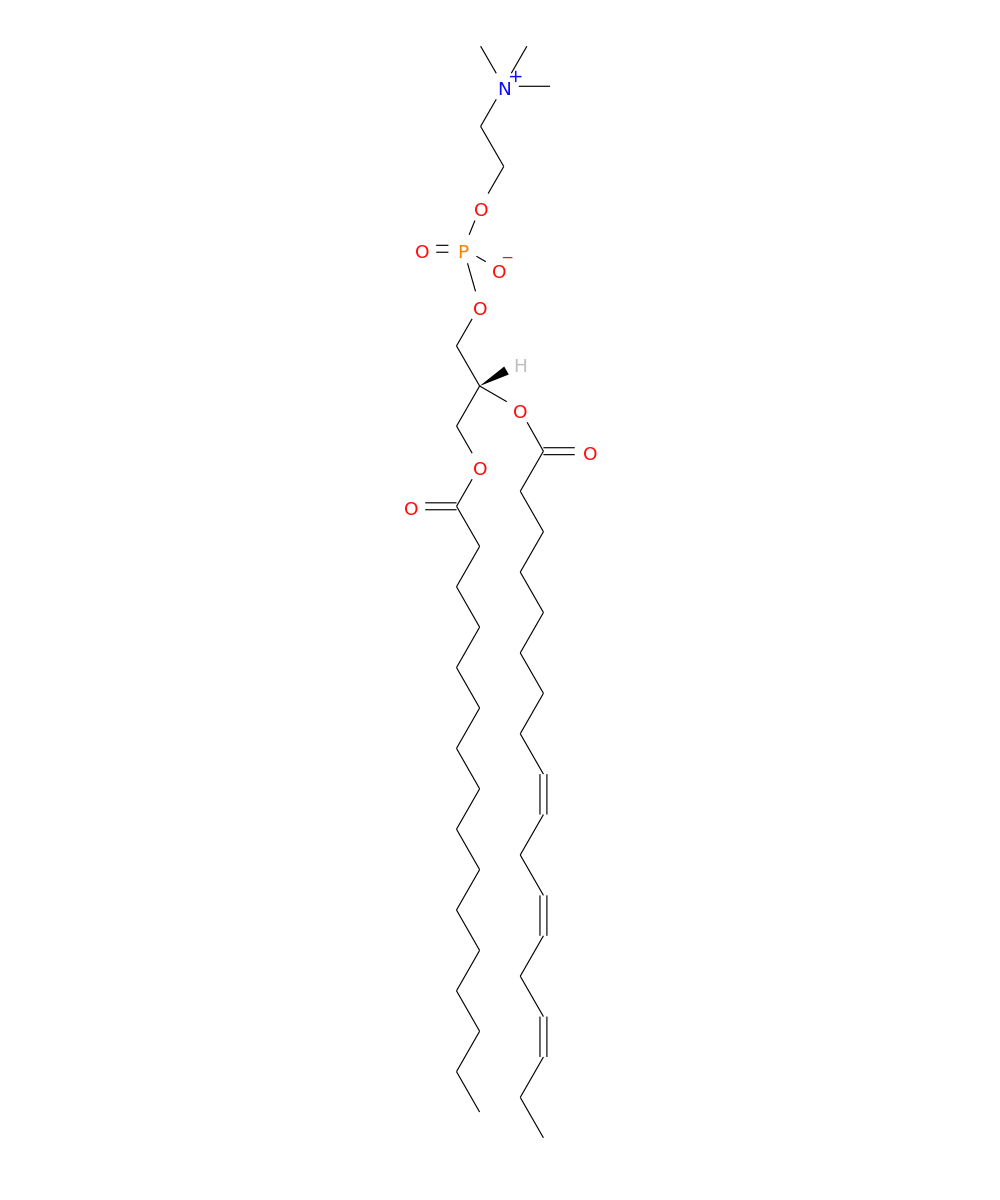 /media/lipids/LMGP01010601.png
