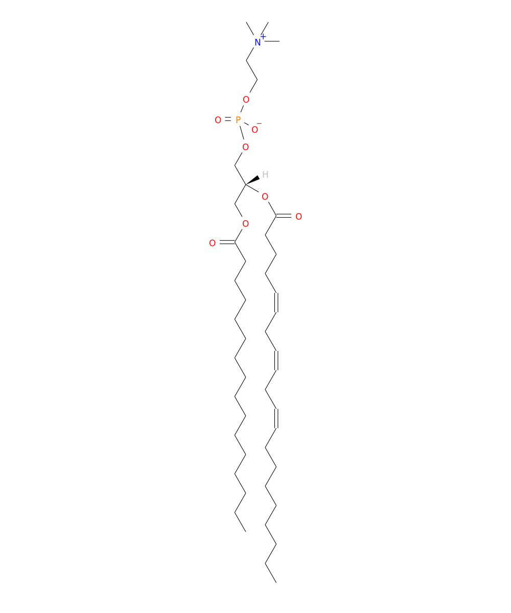 /media/lipids/LMGP01010622.png