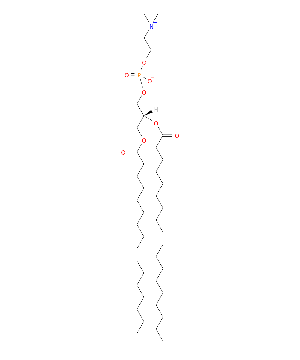 /media/lipids/LMGP01010688.png