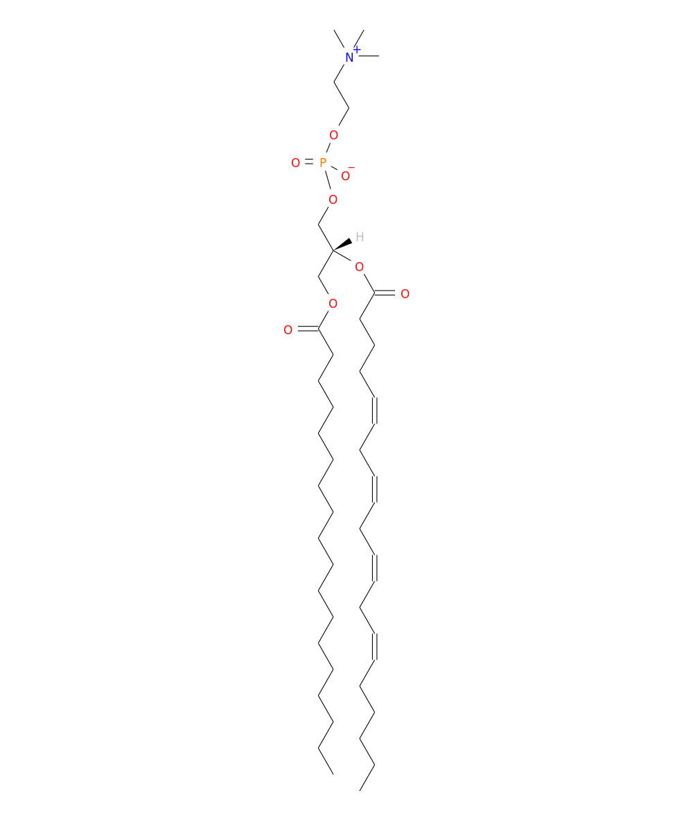 /media/lipids/LMGP01010802.png