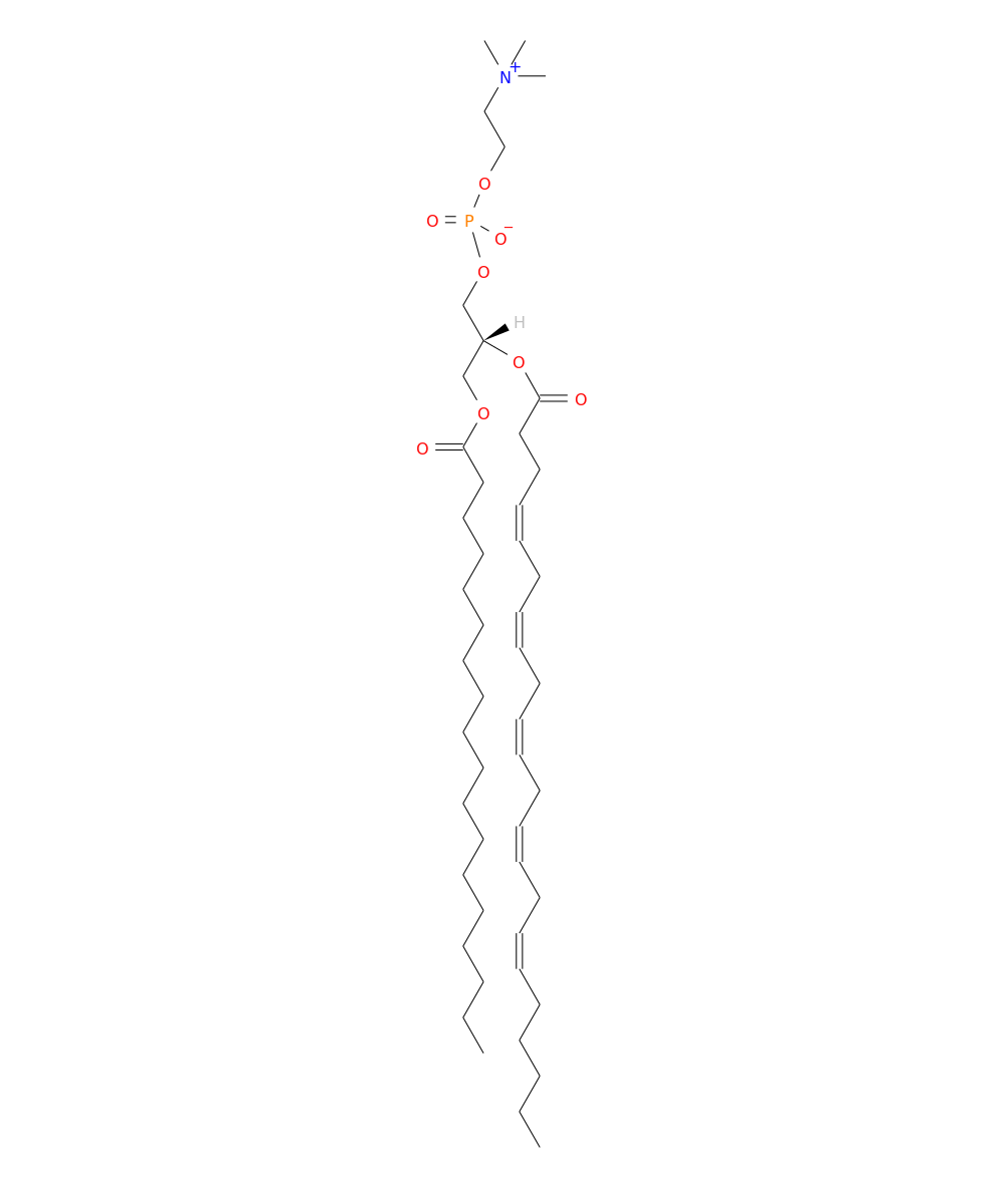 /media/lipids/LMGP01010816.png