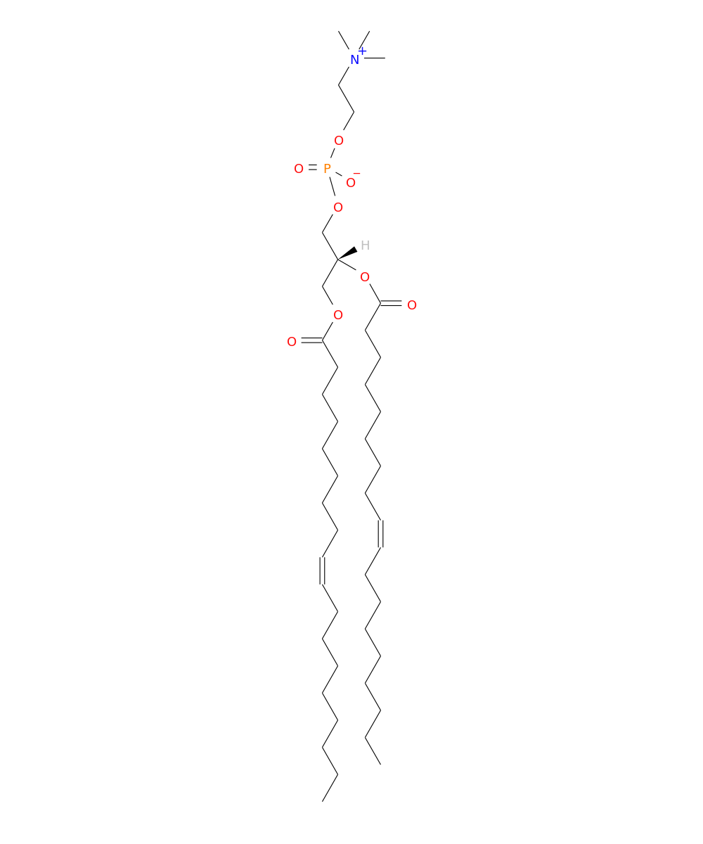 /media/lipids/LMGP01010890.png