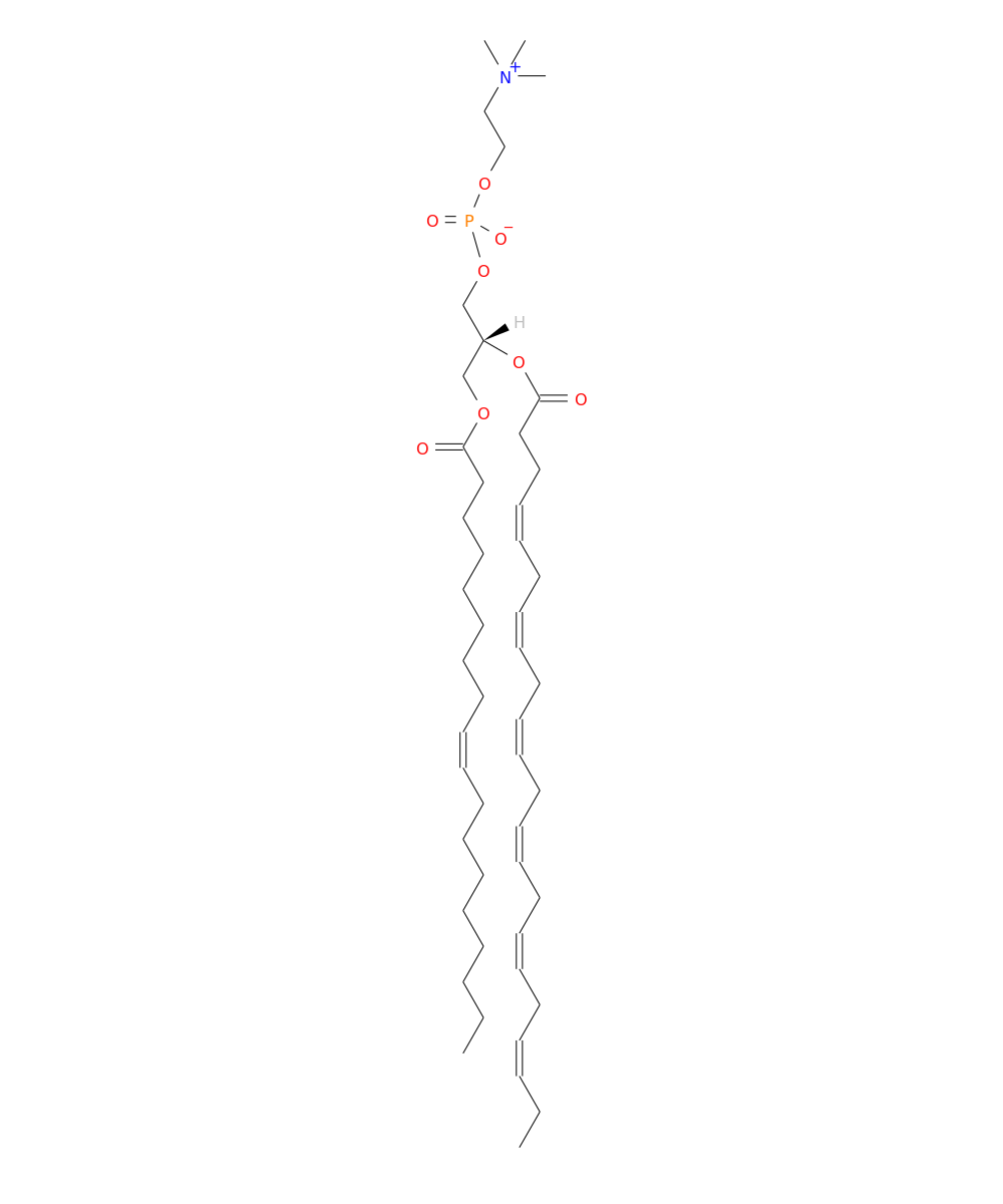 /media/lipids/LMGP01010913.png