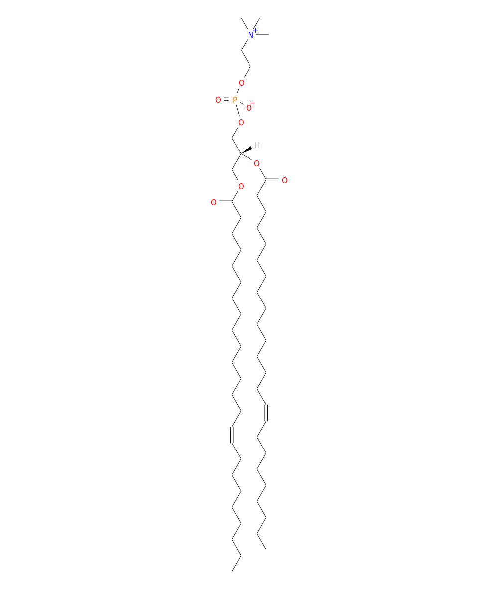 /media/lipids/LMGP01011163.png