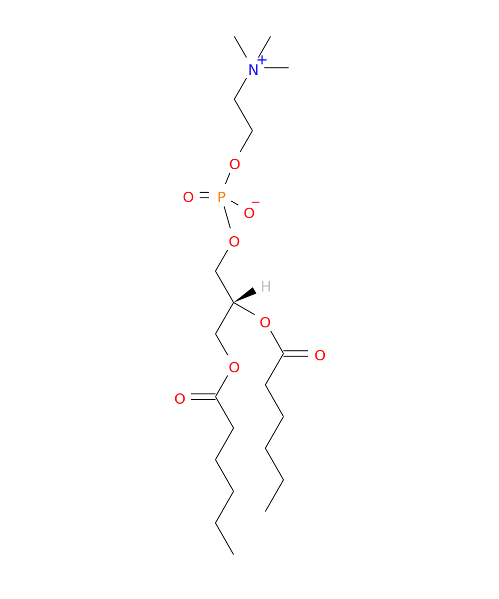 /media/lipids/LMGP01011229.png