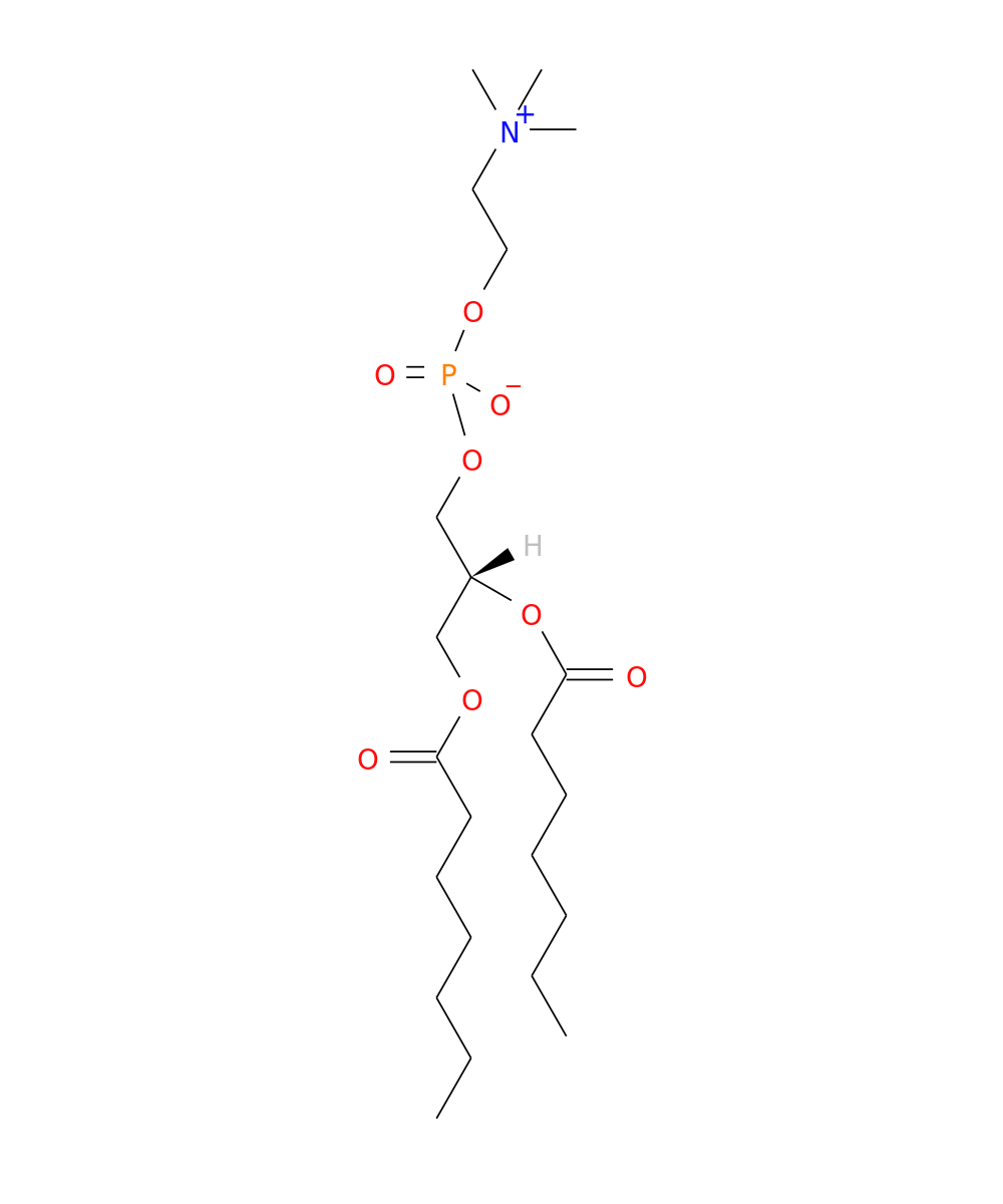 /media/lipids/LMGP01011238.png