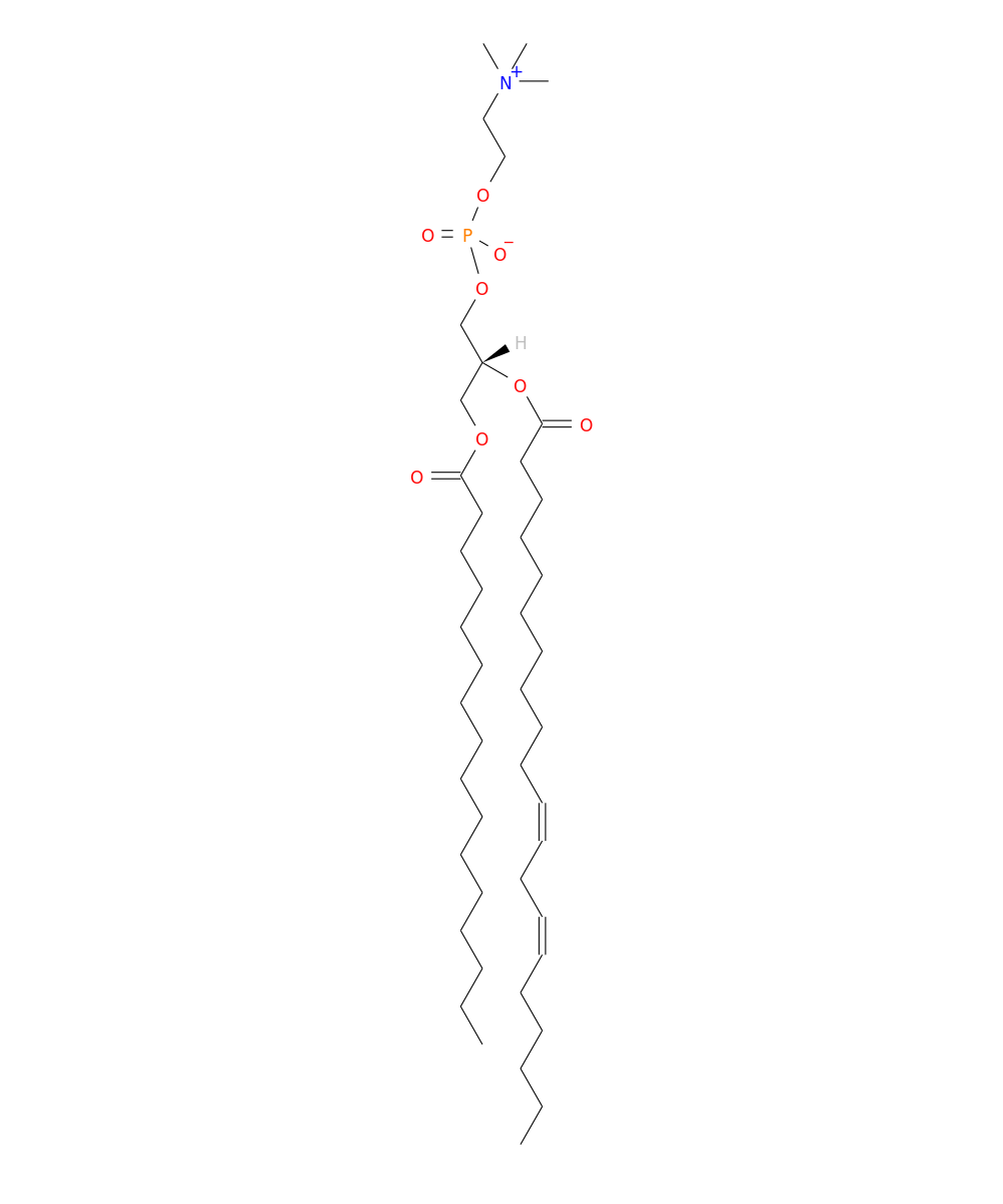 /media/lipids/LMGP01011469.png