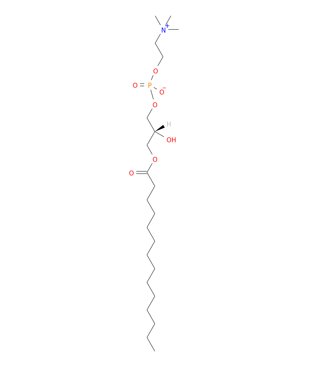 /media/lipids/LMGP01050012.png