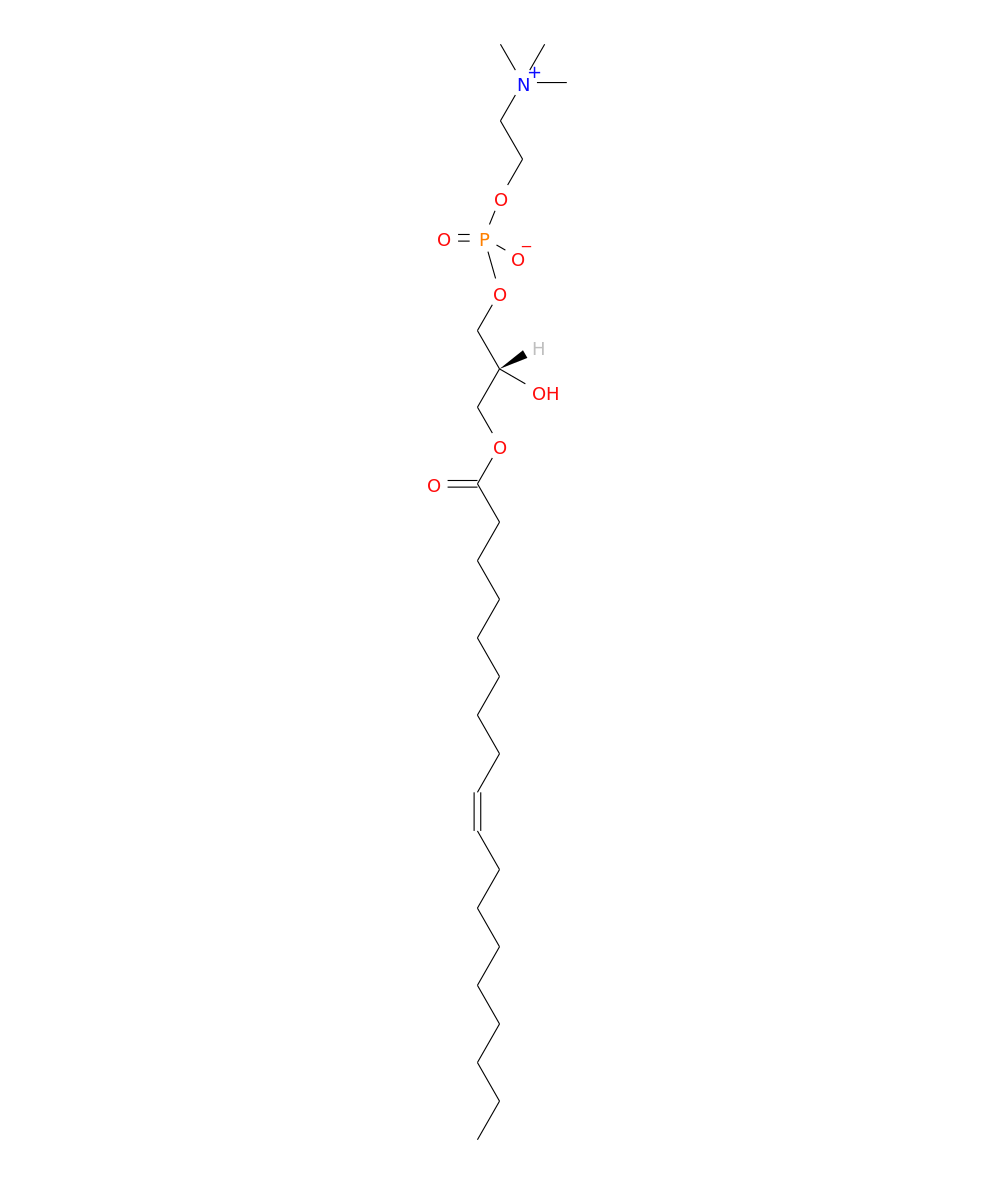 /media/lipids/LMGP01050032.png