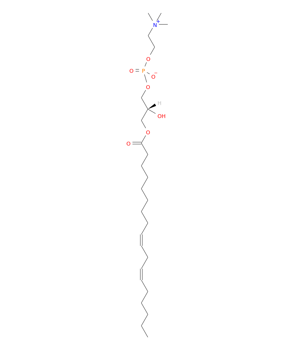 /media/lipids/LMGP01050035.png