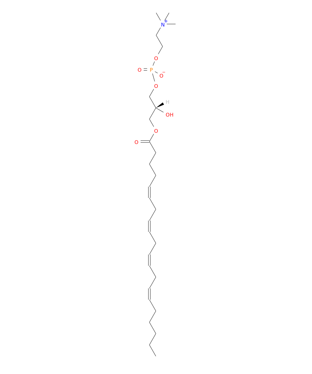 /media/lipids/LMGP01050048.png