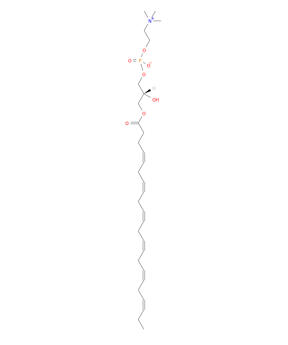 /media/lipids/LMGP01050056.png