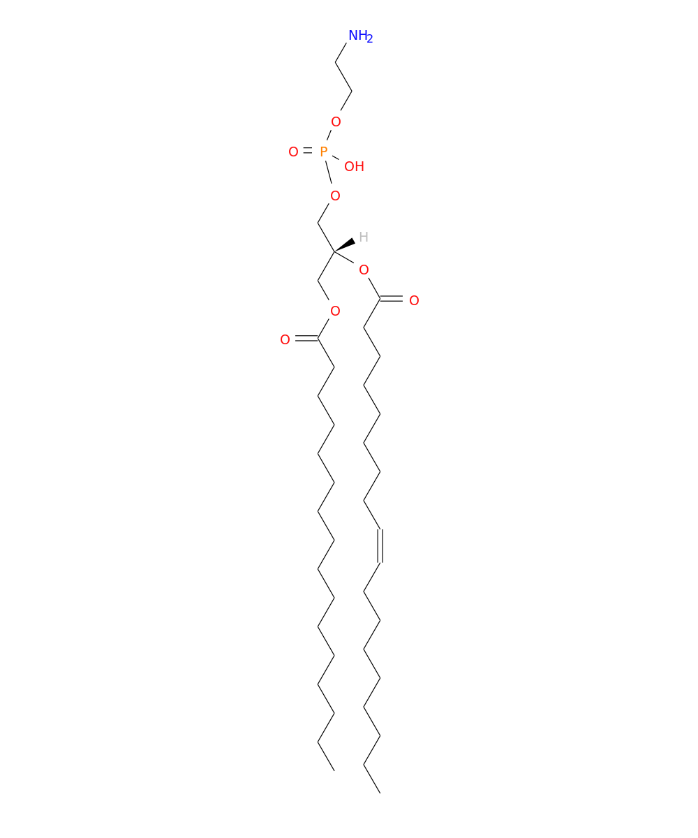 /media/lipids/LMGP02010009.png