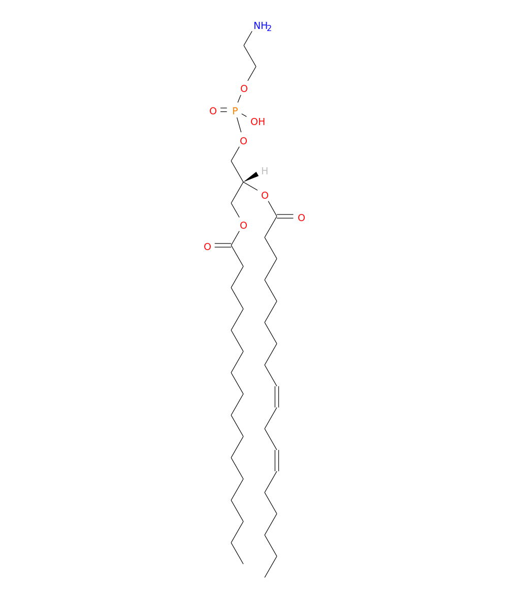 /media/lipids/LMGP02010042.png