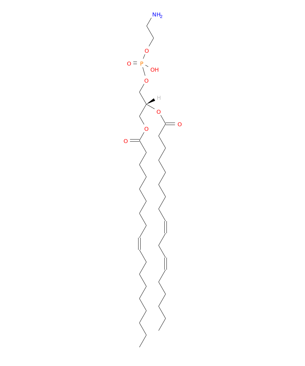 /media/lipids/LMGP02010048.png