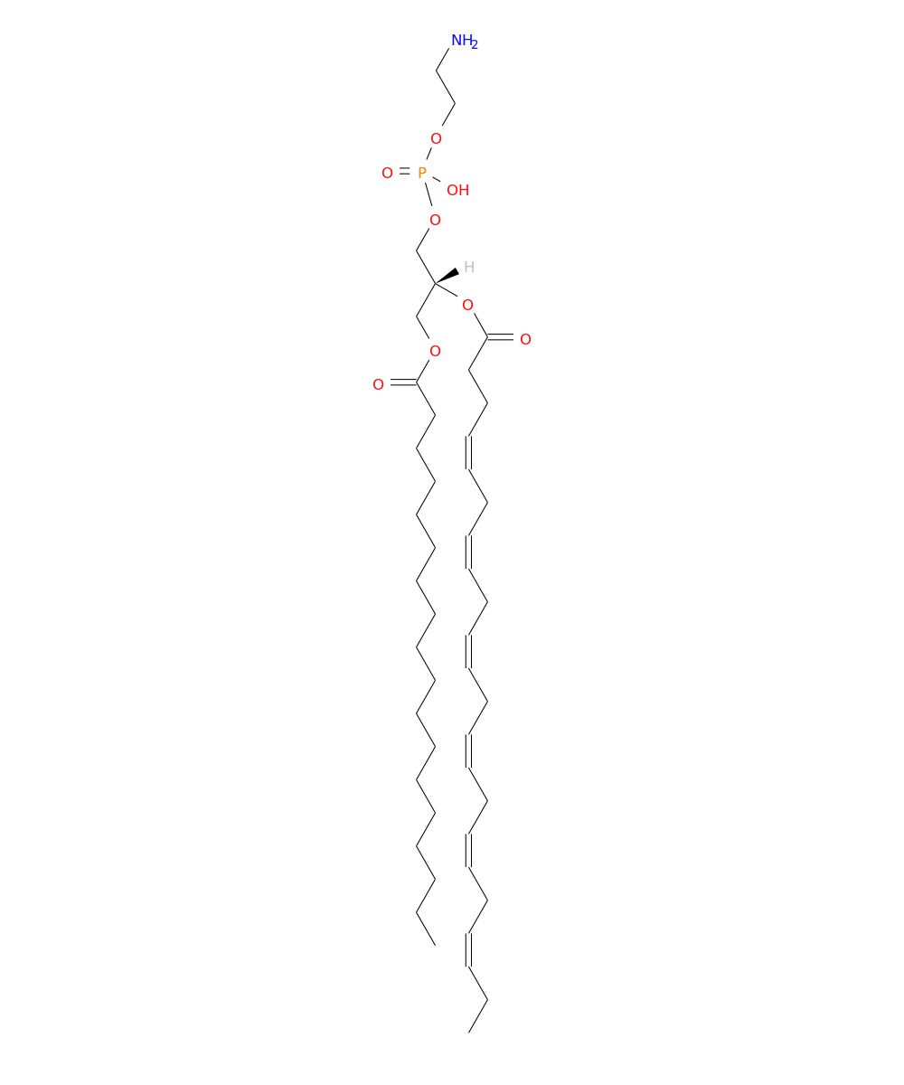/media/lipids/LMGP02010094.png