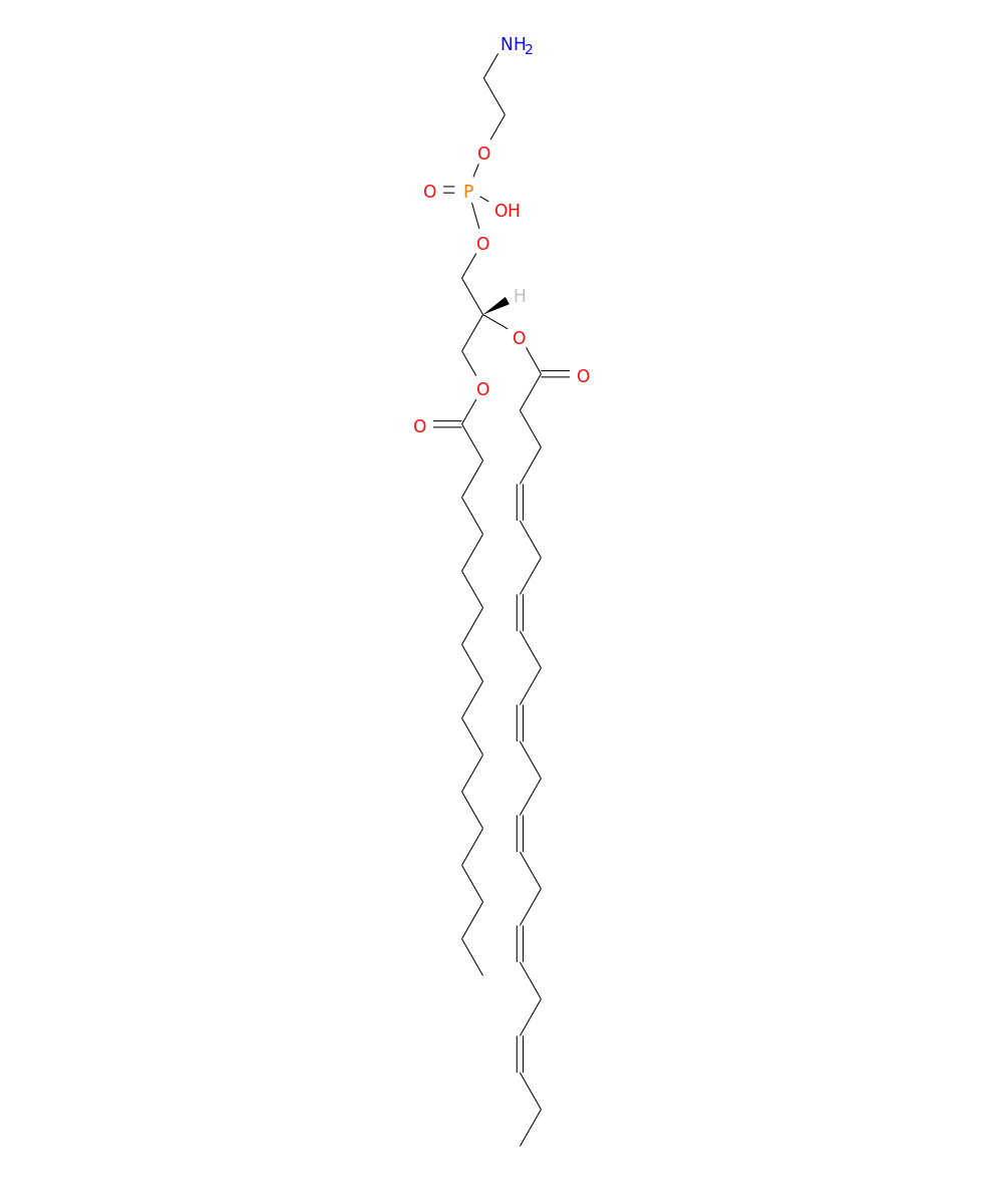 /media/lipids/LMGP02010095.png