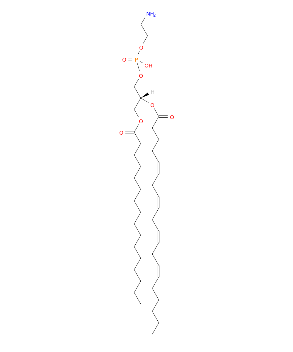 /media/lipids/LMGP02010096.png
