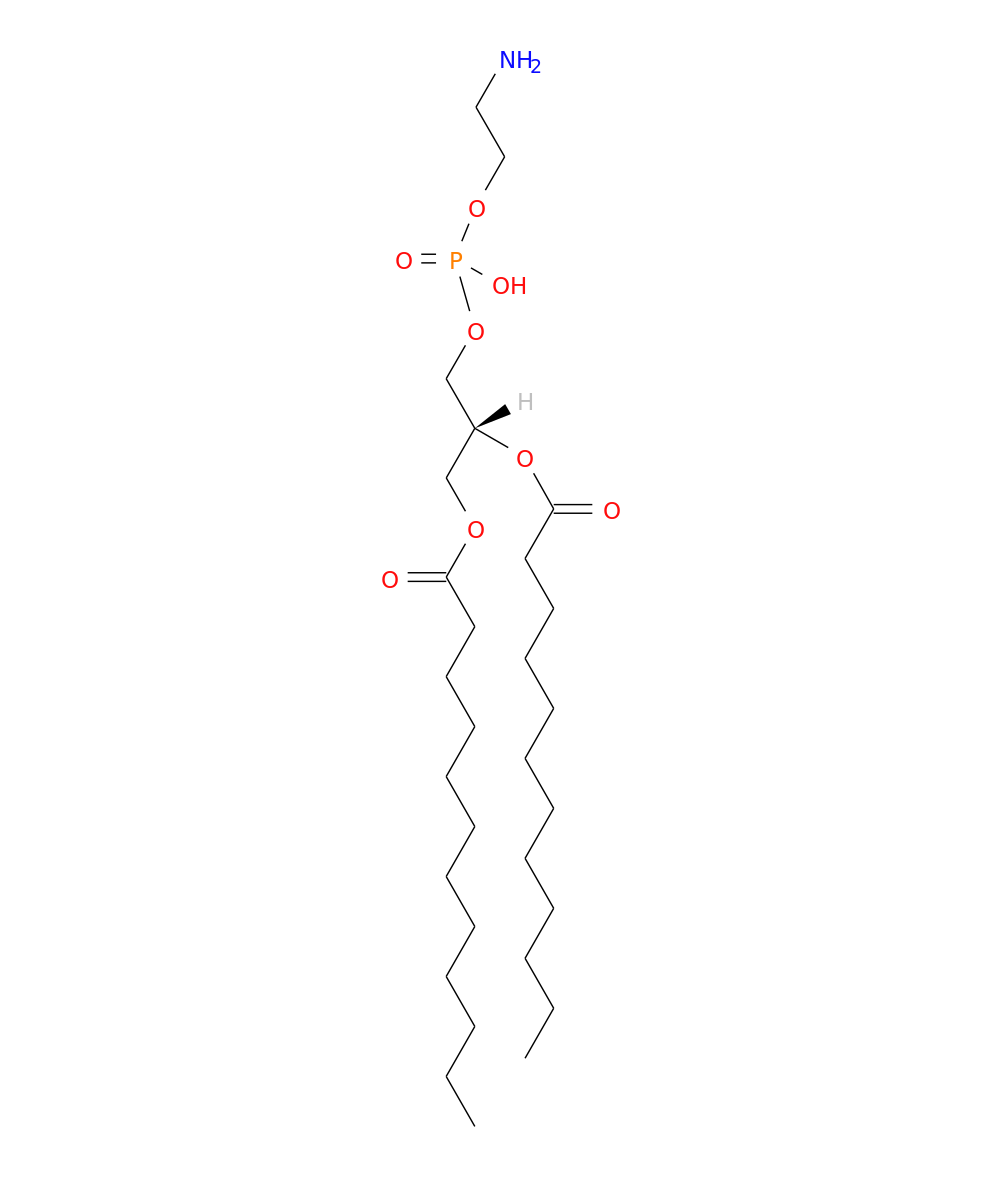 /media/lipids/LMGP02010098.png