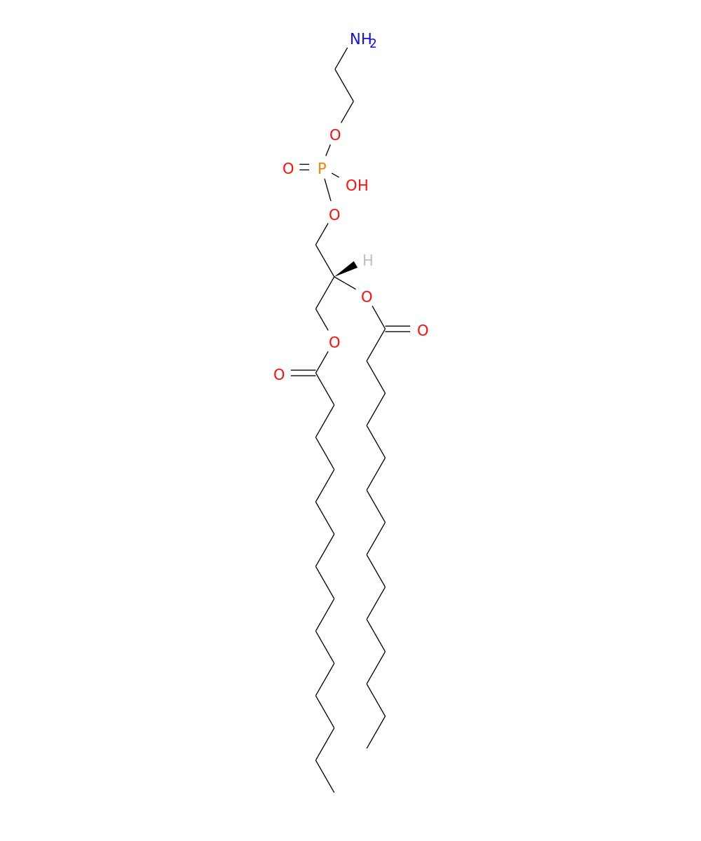 /media/lipids/LMGP02010352.png