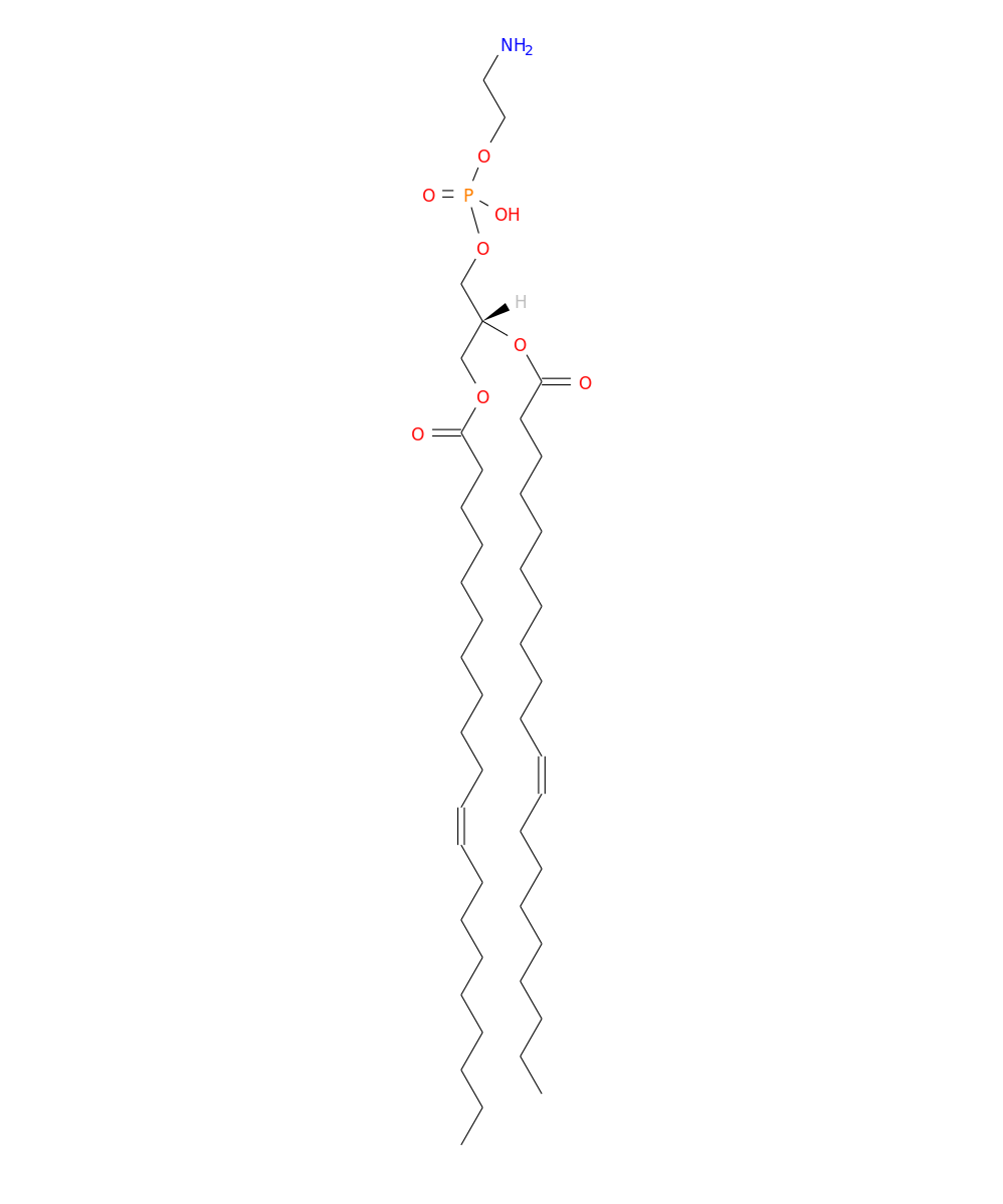 /media/lipids/LMGP02011175.png