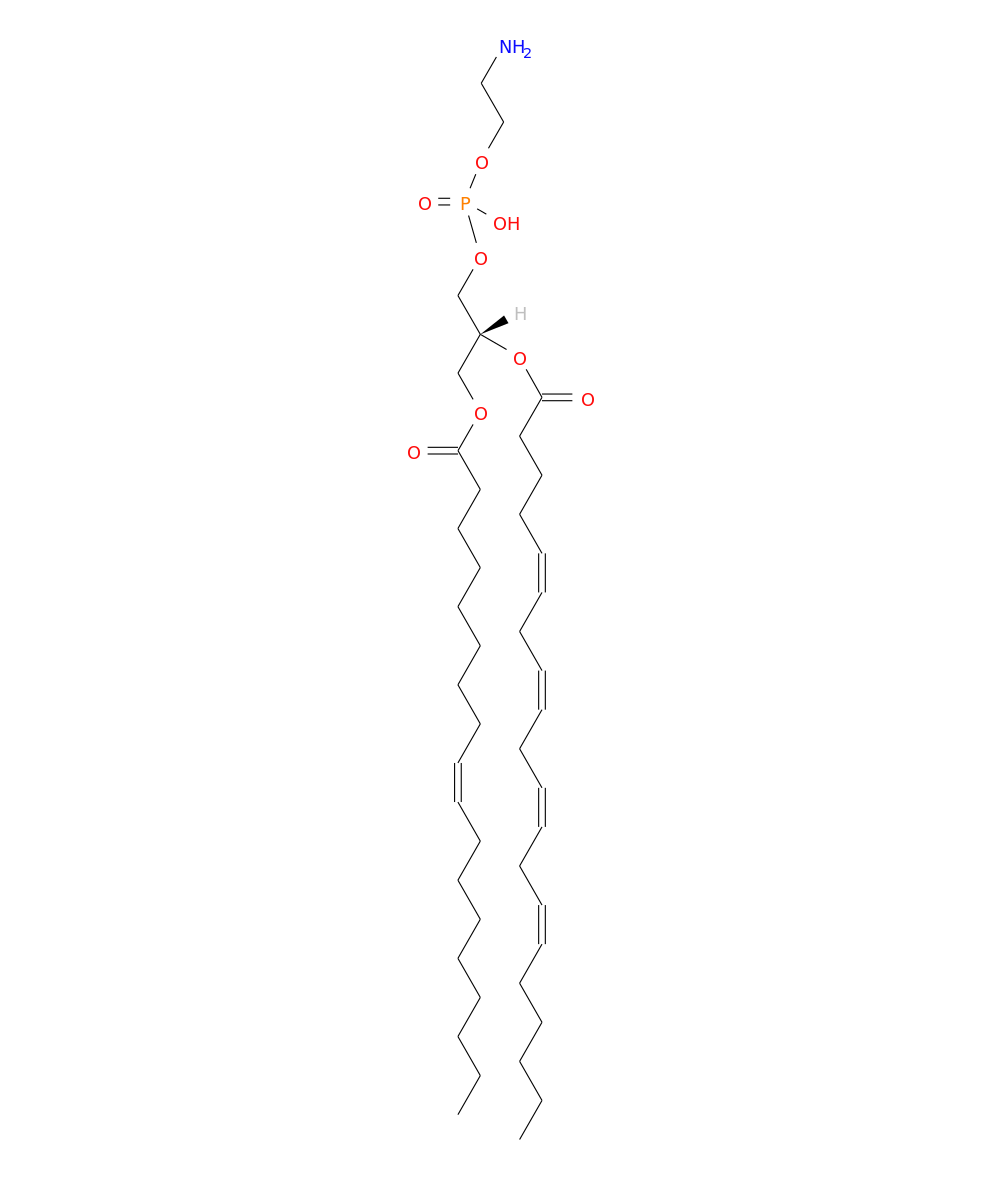 /media/lipids/LMGP02011196.png