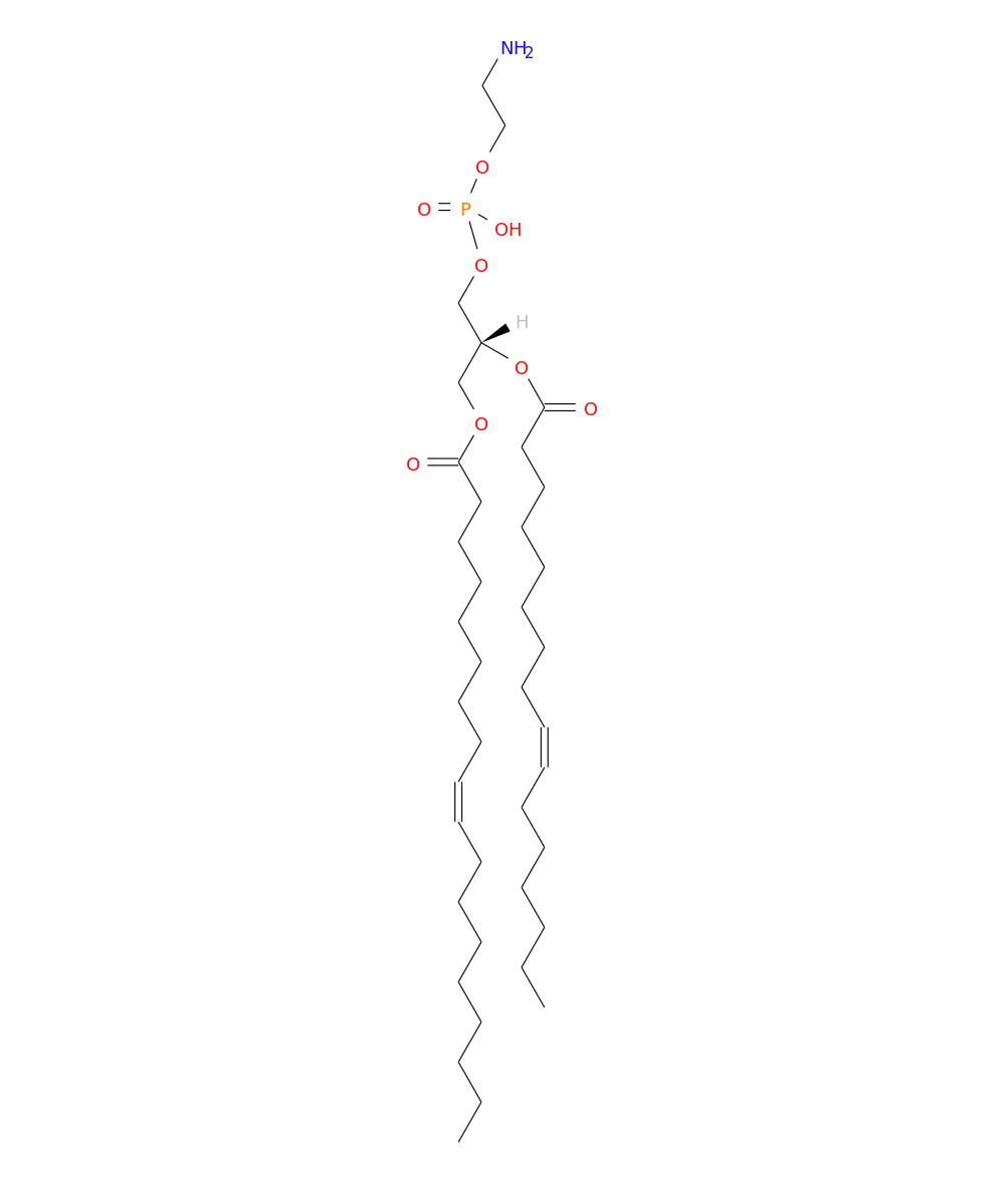 /media/lipids/LMGP02011198.png
