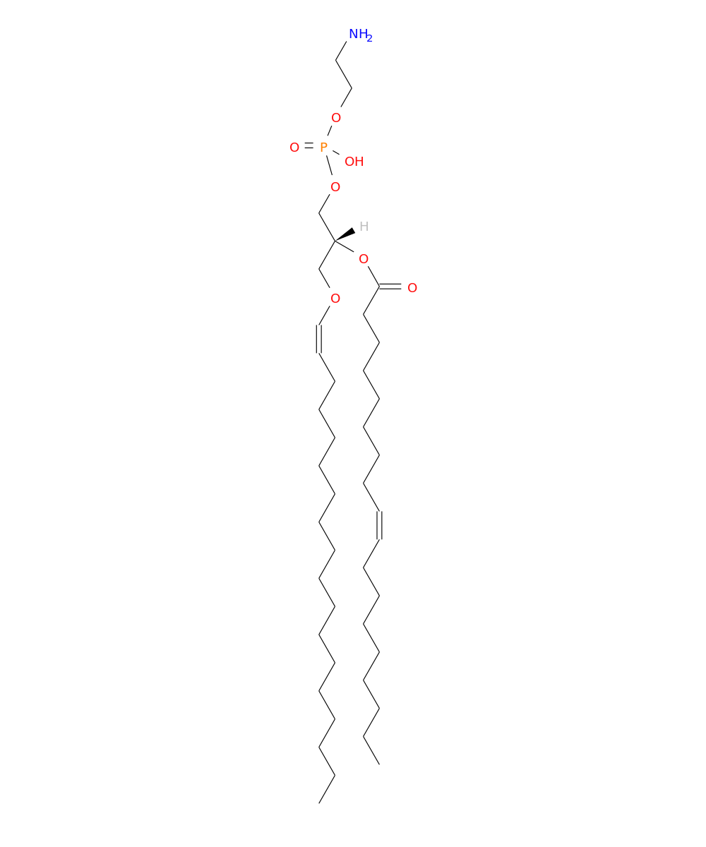 /media/lipids/LMGP02030004.png