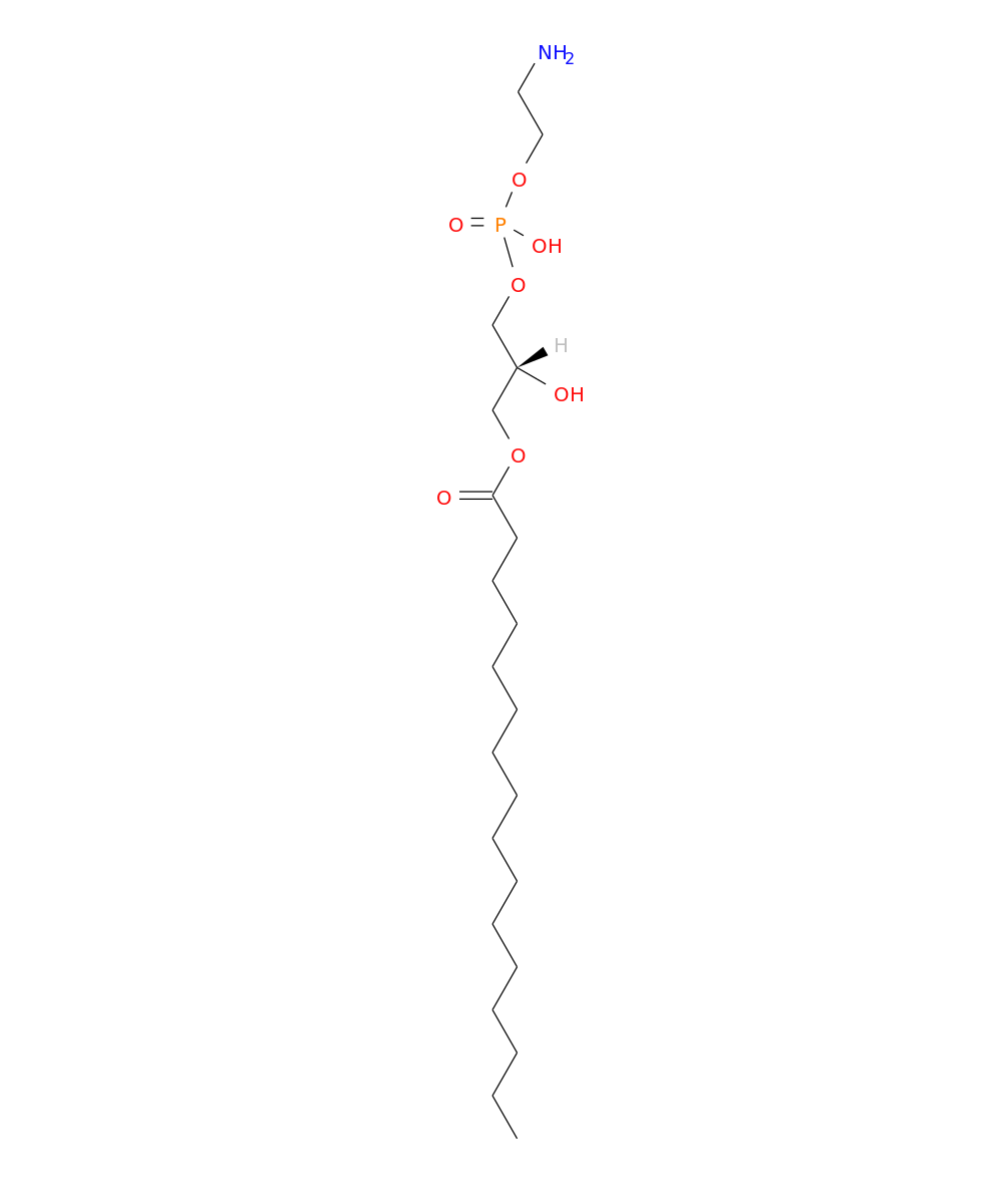 /media/lipids/LMGP02050002.png