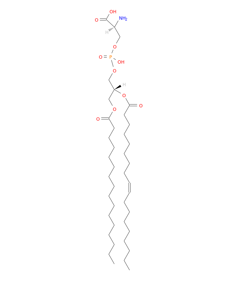 /media/lipids/LMGP03010024.png