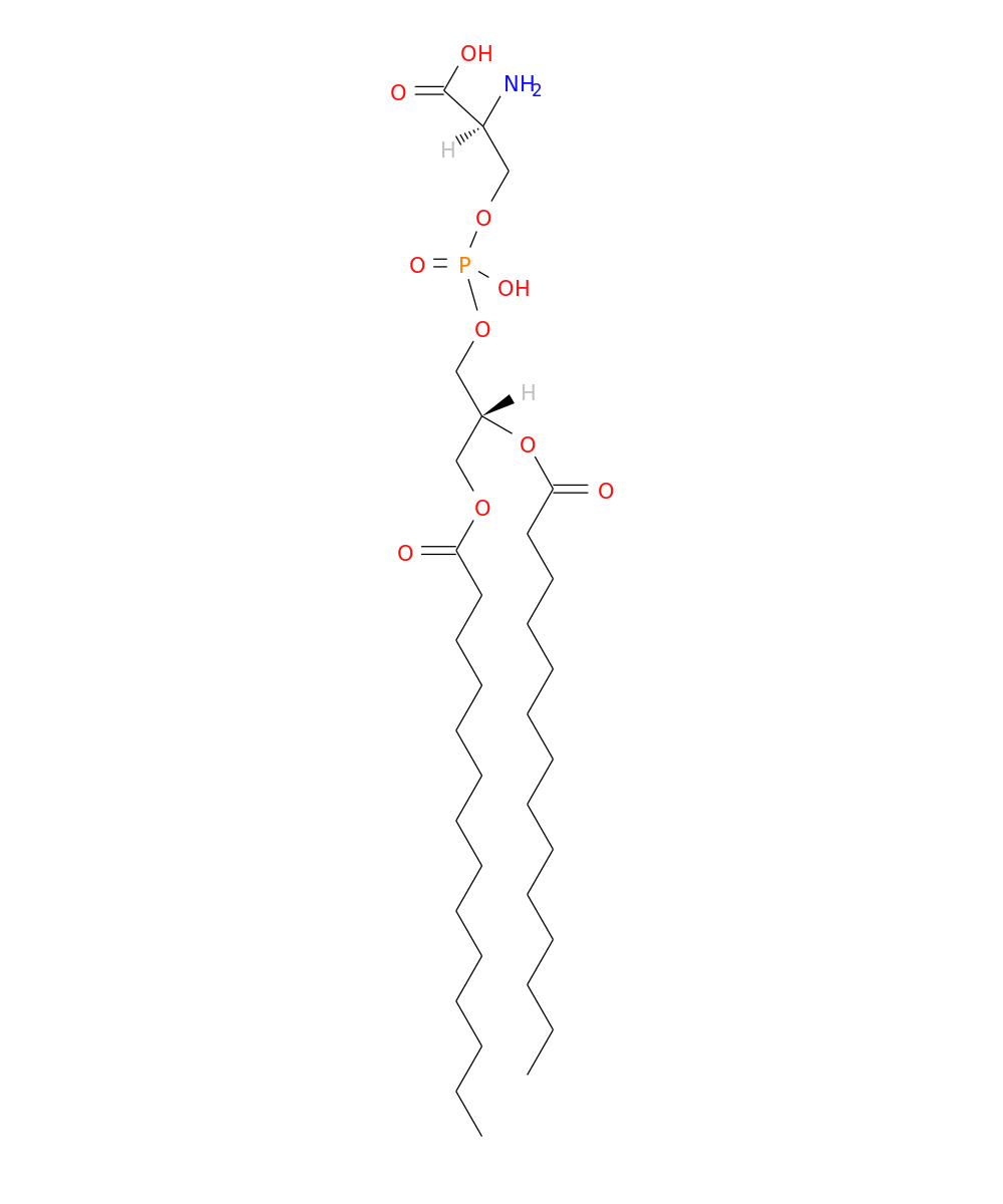 /media/lipids/LMGP03010028.png